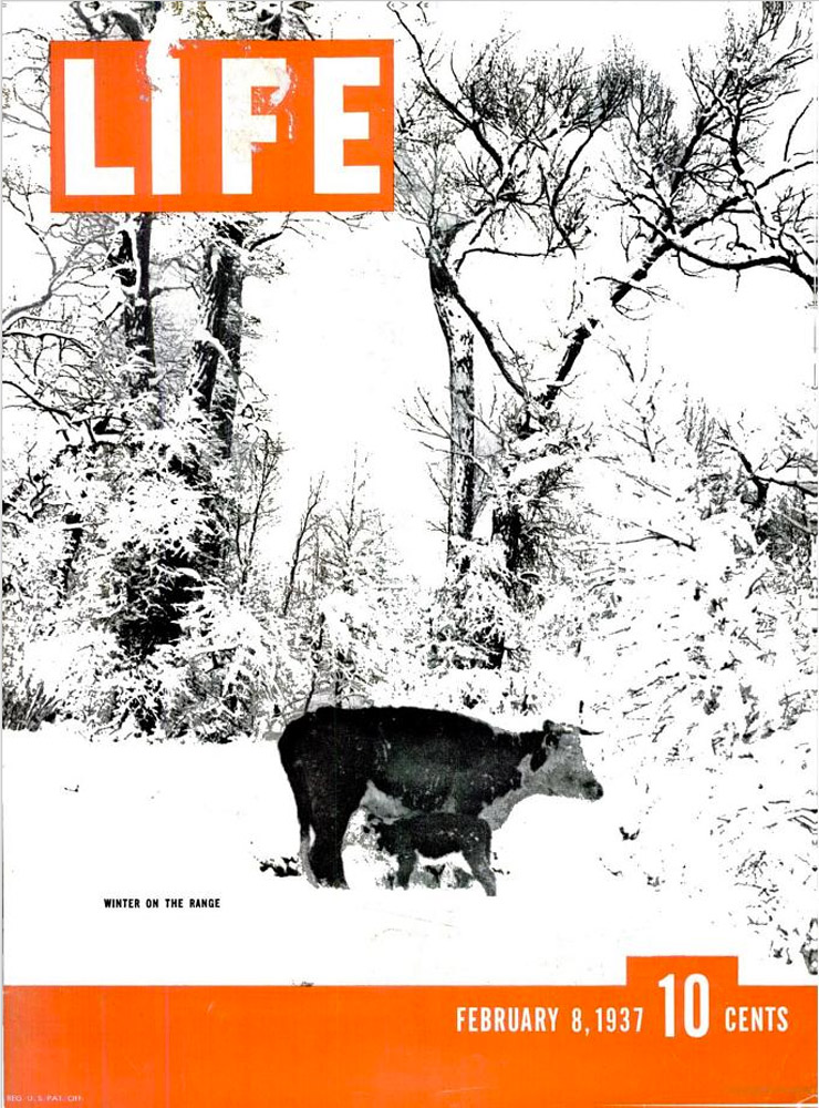 February 8, 1937 LIFE Magazine cover