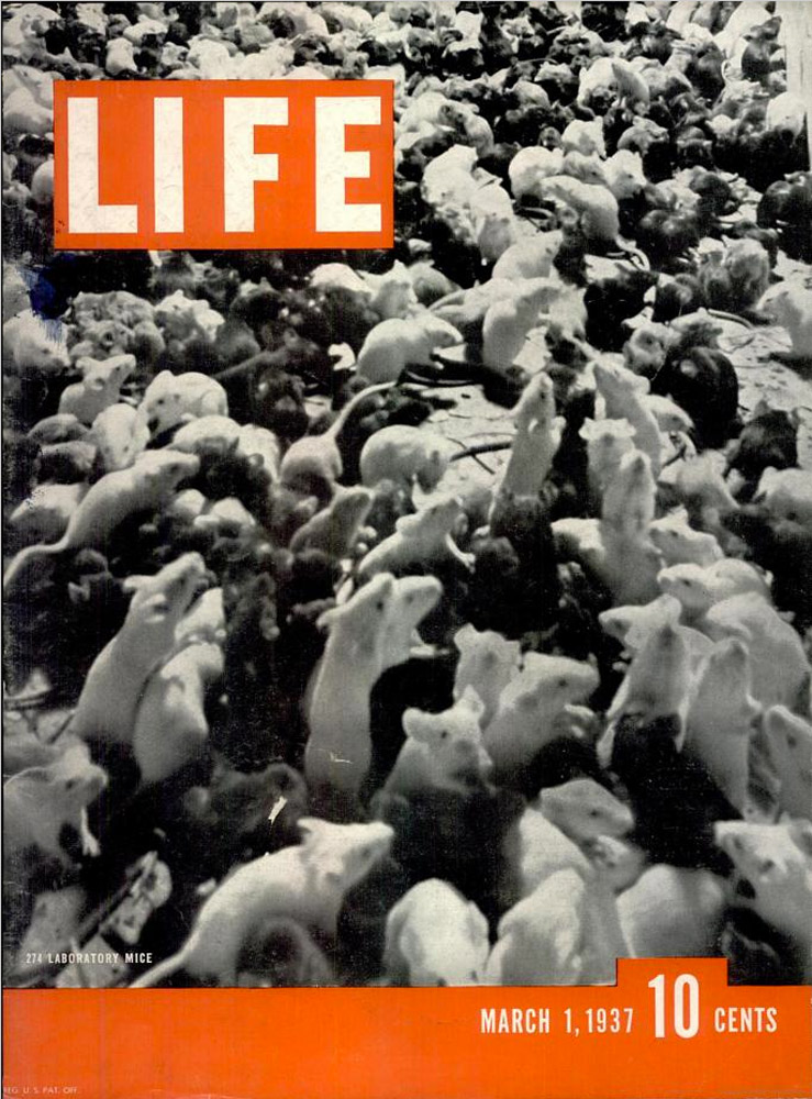 March 1, 1937 LIFE Magazine cover