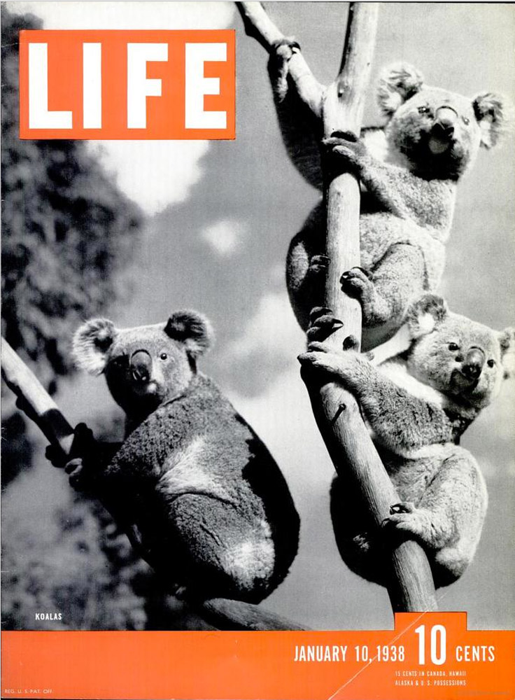 January 10, 1938 LIFE Magazine cover