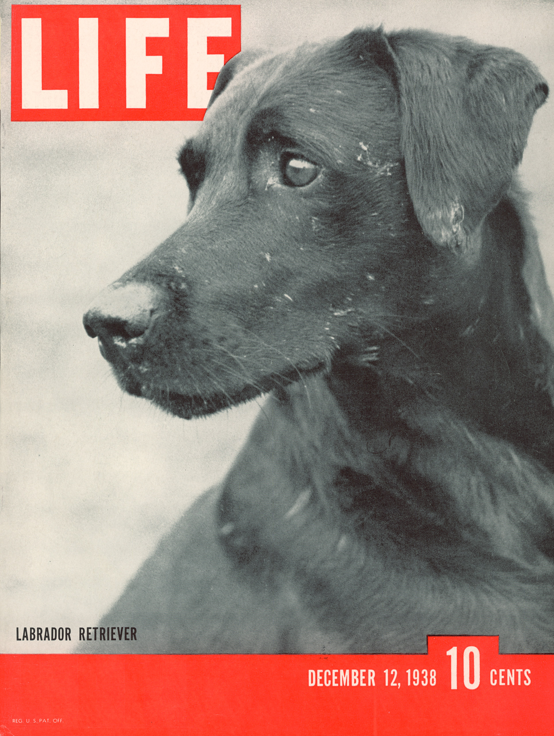 December 12, 1938 LIFE Magazine cover