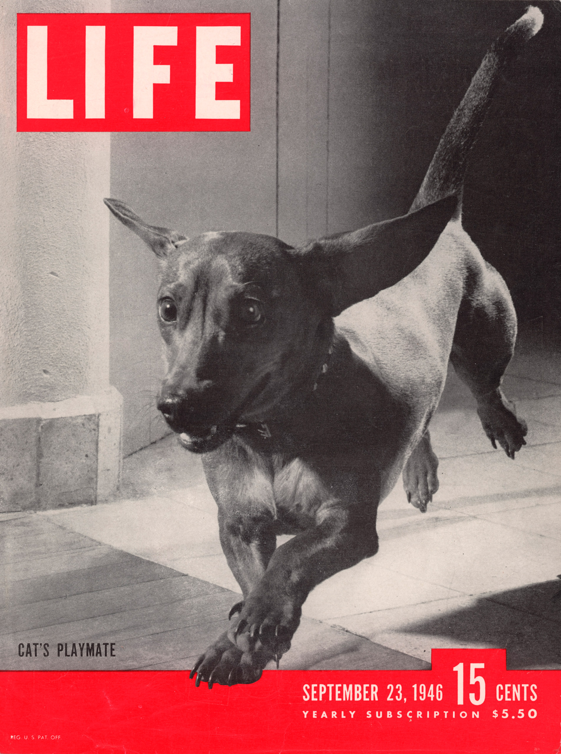 September 23, 1946 LIFE Magazine cover