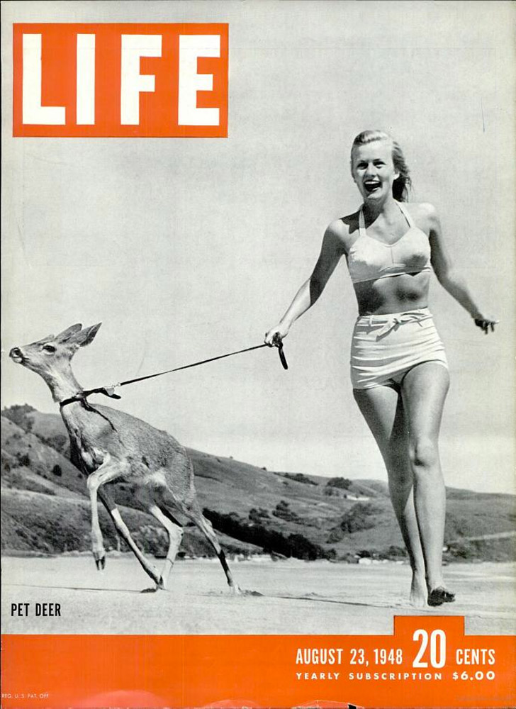 August 23, 1948 LIFE Magazine cover