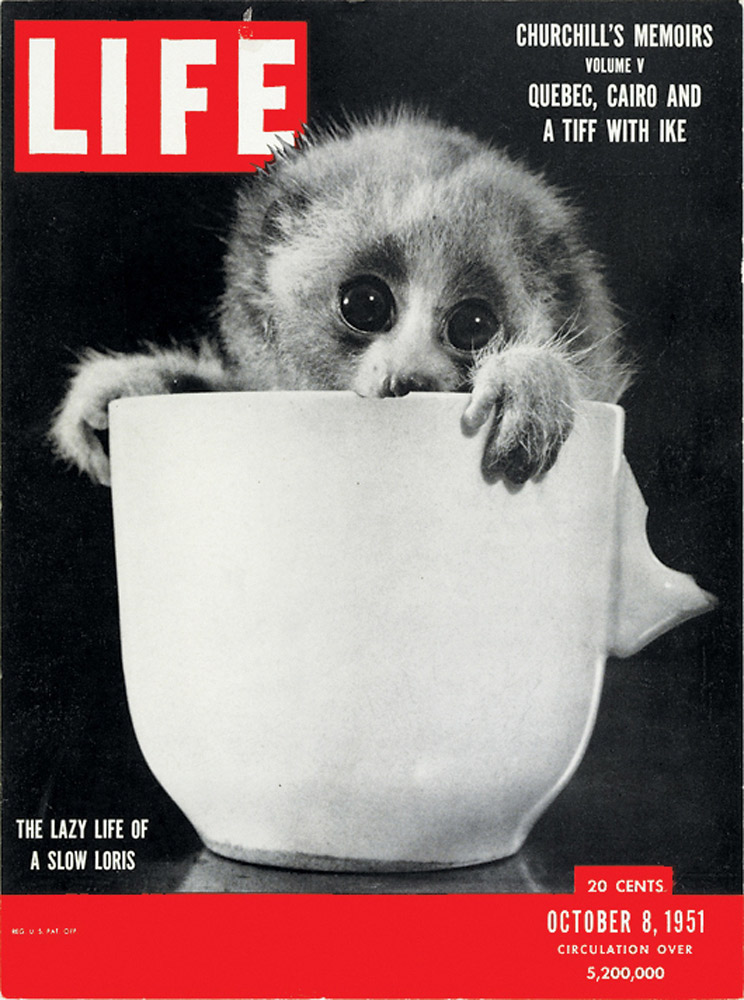 October 8, 1951 LIFE Magazine cover