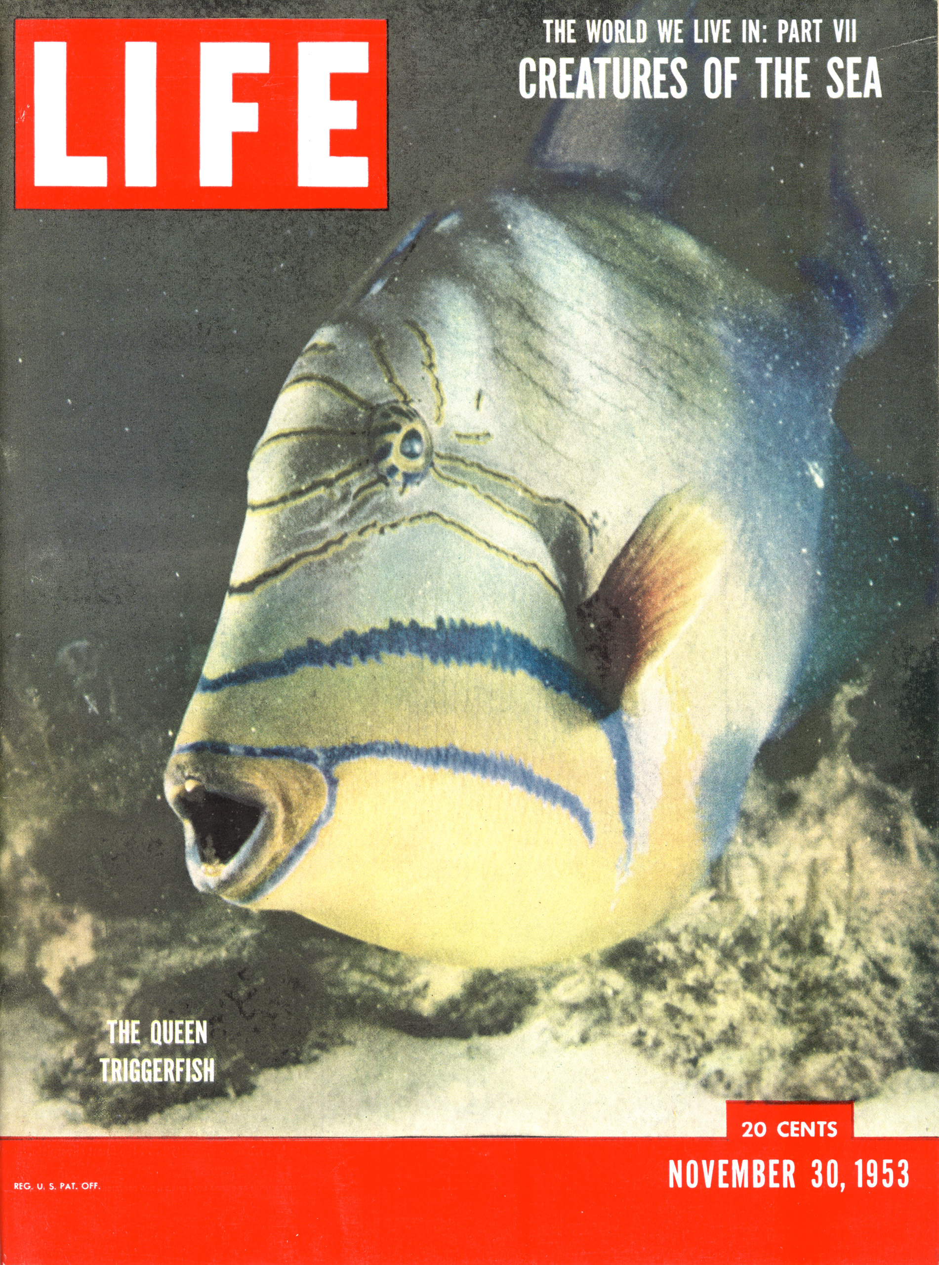 November 30, 1953 LIFE Magazine cover
