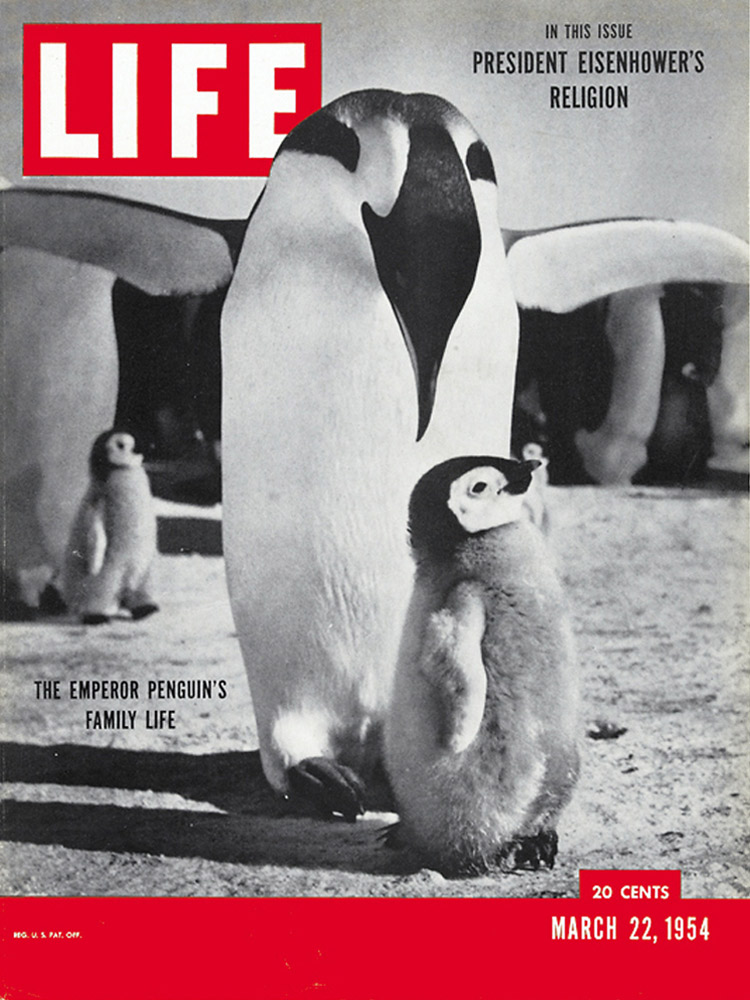 March 22, 1954 LIFE Magazine cover
