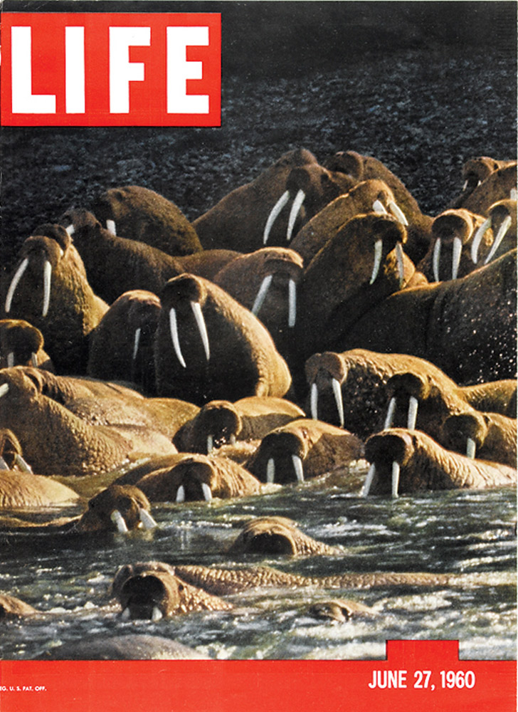 June 27, 1960 LIFE Magazine cover