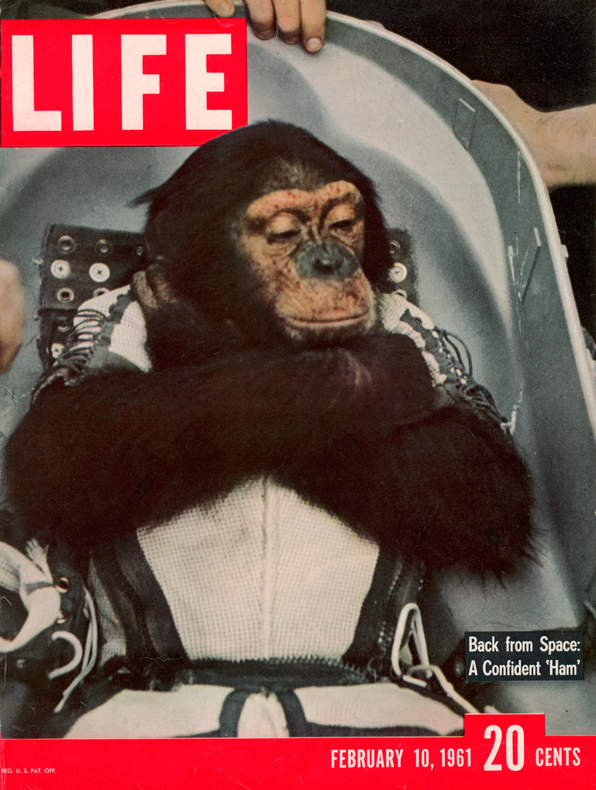 February 10, 1961 LIFE Magazine cover