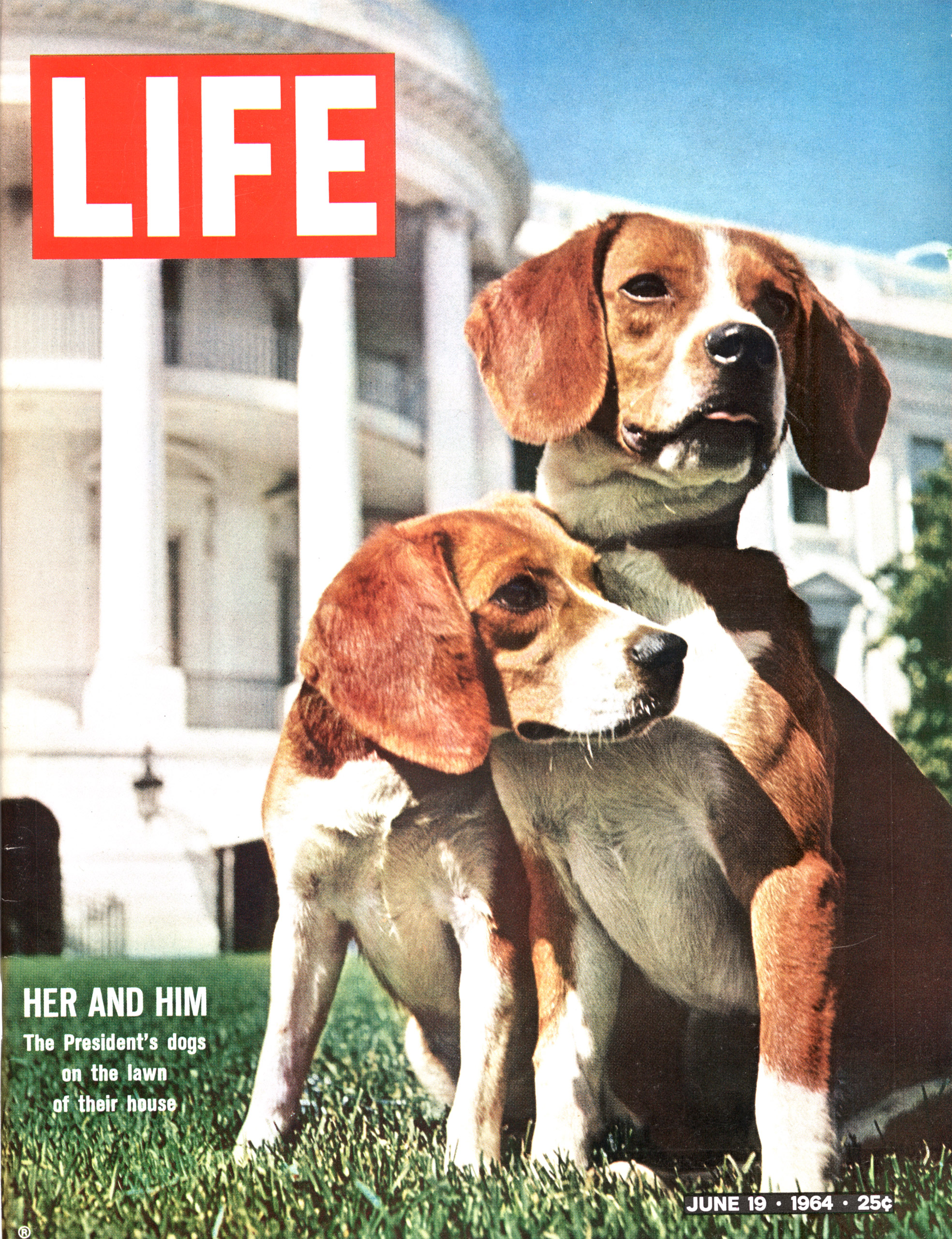 June 19, 1964 LIFE Magazine cover