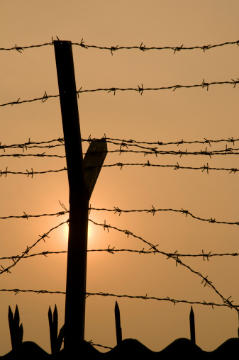 barbed-wire-fence
