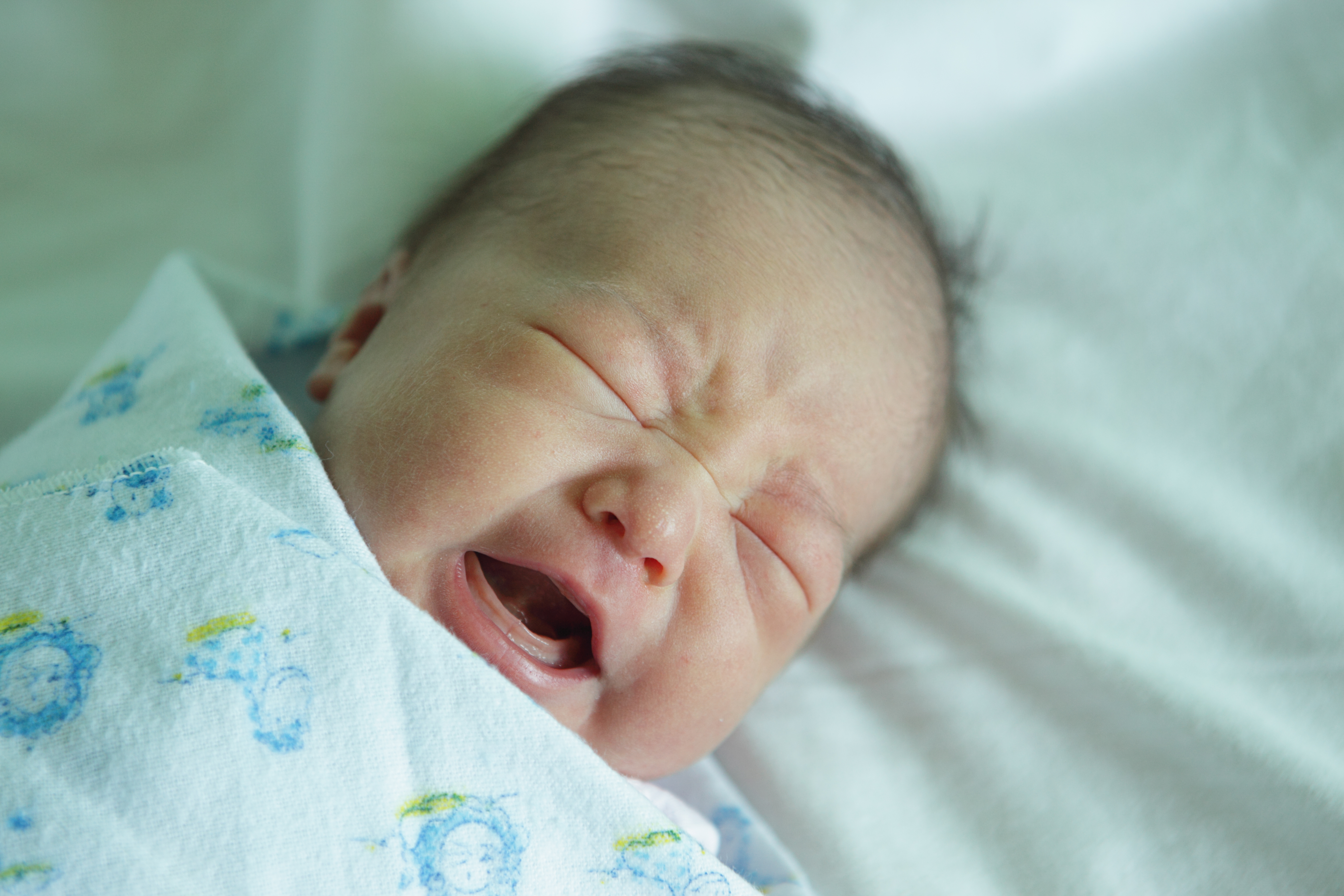 Почему новорожденный в 2. Клебсиелла у новорожденных. Стафилококковая инфекция у новорожденных. Младенец плачет. Прощилка крови у новорожденного.