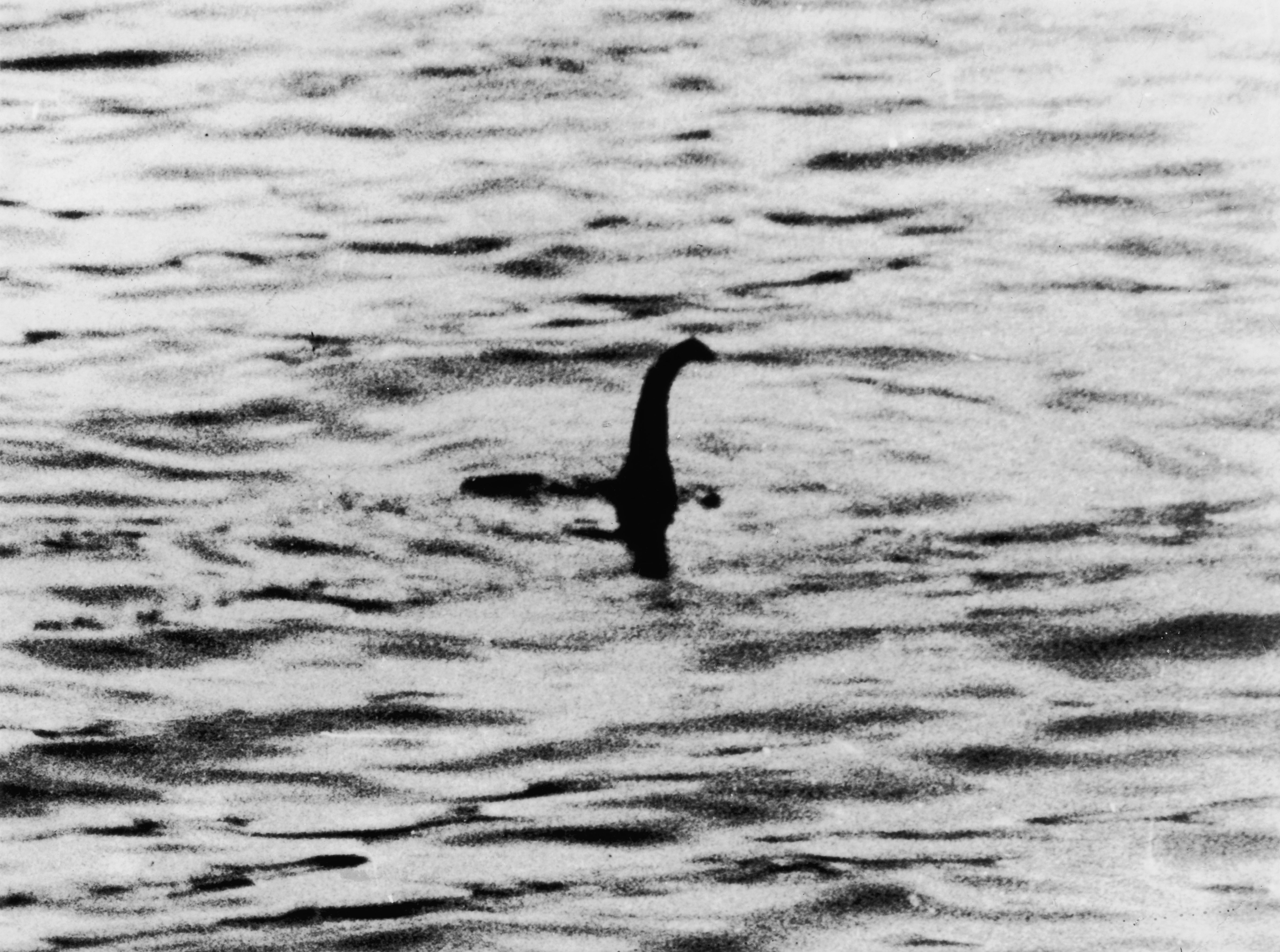 A view of the Loch Ness Monster, near Inverness, Scotland, April 19, 1934. (Keystone—Getty Images)