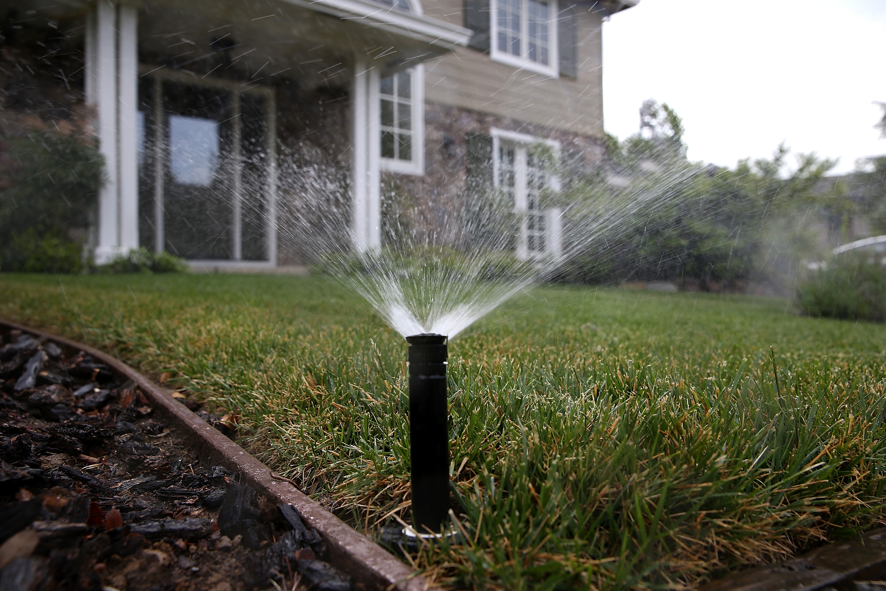 A sprinkler waters a lawn on April 7, 2015 in Walnut Creek, California.
