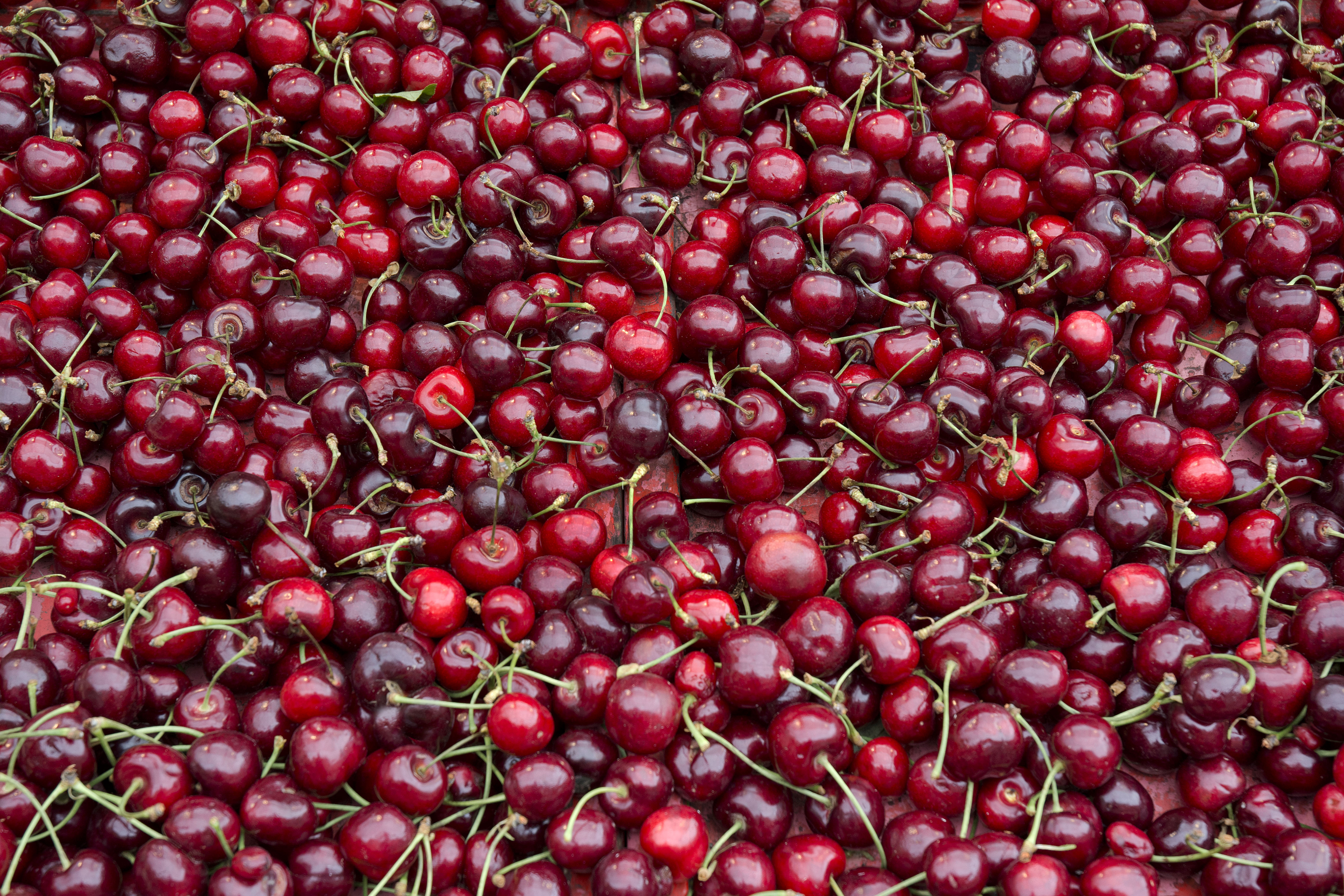 “If you like cherries, chances are you are going to have a really good May,” says Parker.