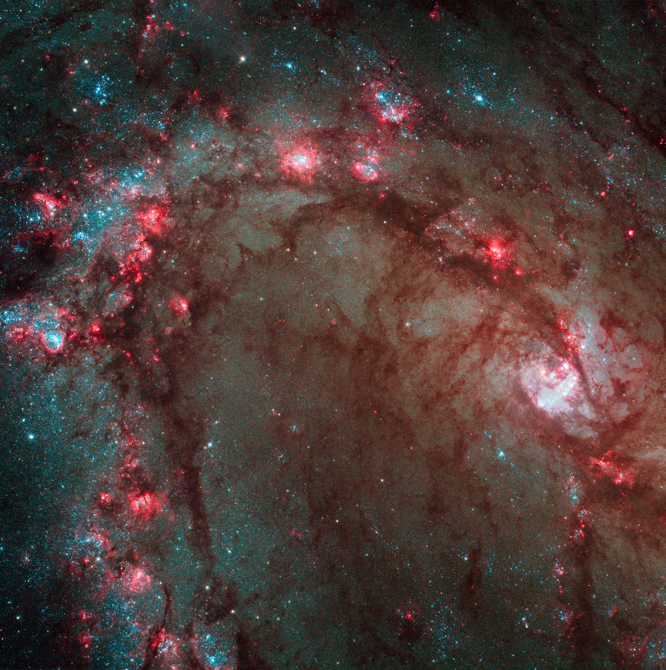 M83:
                              
                              Nicknamed the Southern Pinwheel, M83 is undergoing more rapid star formation than our own Milky Way galaxy, especially in its nucleus. The sharp  eye  of the Wide Field Camera 3 (WFC3) has captured hundreds of young star clusters, ancient swarms of globular star clusters, and hundreds of thousands of individual stars, mostly blue supergiants and red supergiants.
                              Image released on Nov. 5, 2009