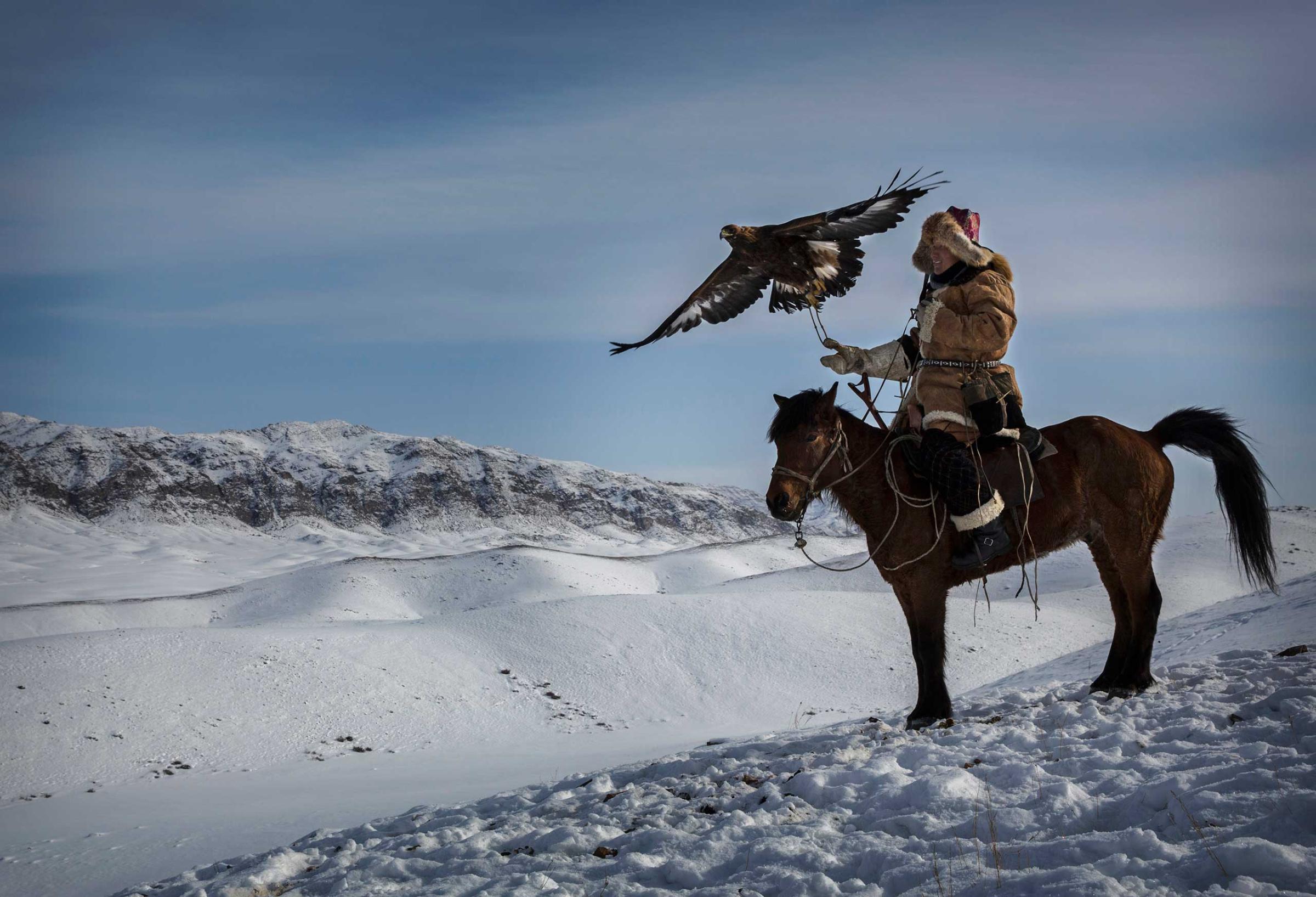 A Chinese Kazakh eagle hunter releases his eagle during a local competition in the mountains of Qinghe County, Xinjiang, northwestern China., Jan. 31, 2015.