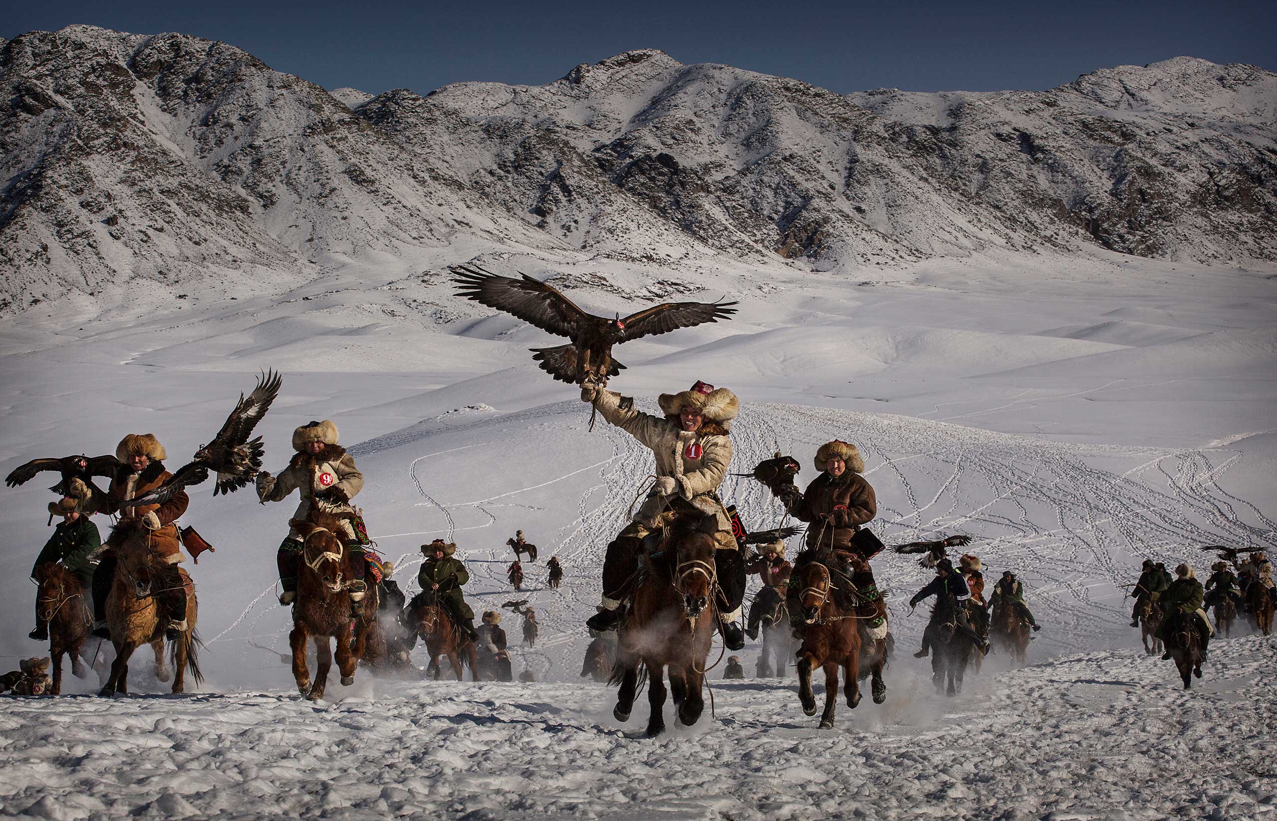 Chinese Kazakh eagle hunters ride with their eagles during a local competition in the mountains of Qinghe County, Xinjiang, northwestern China, Jan. 30, 2015.