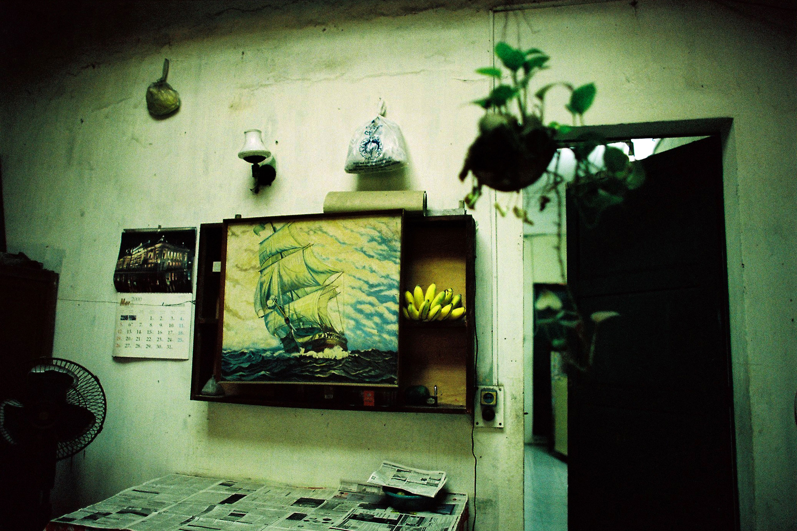 A wall decorated with paintings and potted plants in Hanoi, March 23, 2010.