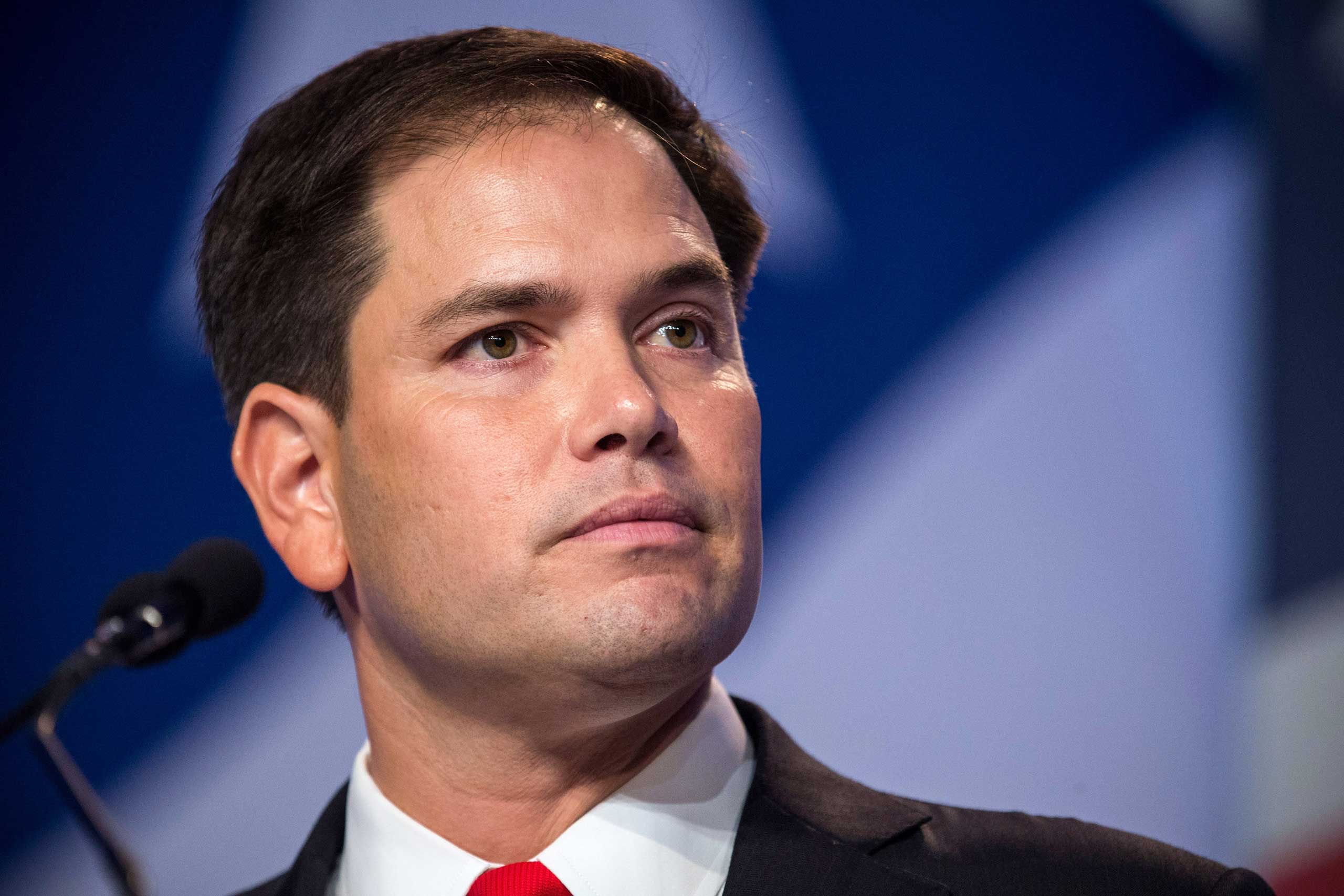 Senator Marco Rubio (R-FL). (Andrew Burton—Getty Images)