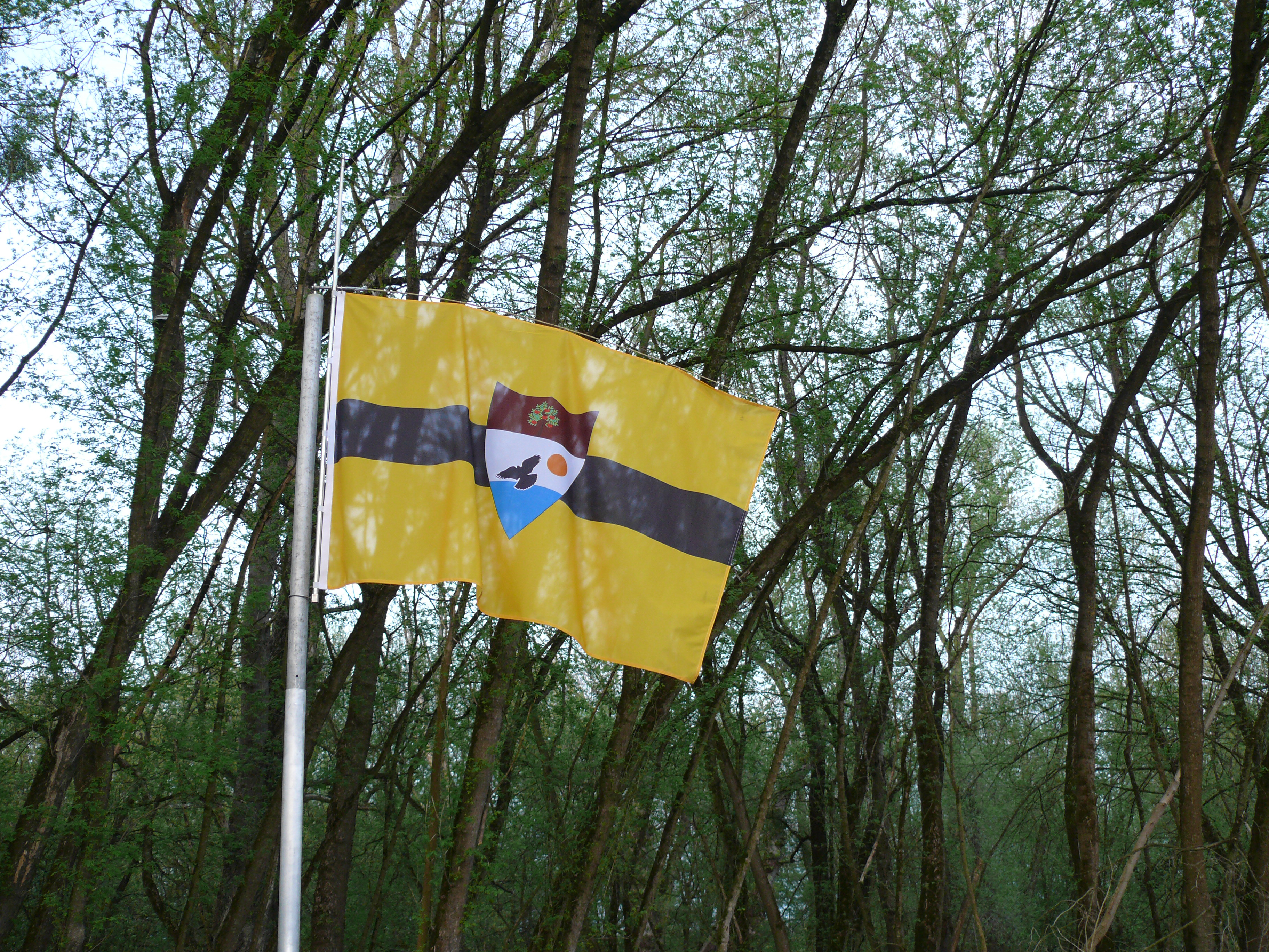 The flag of Liberland.