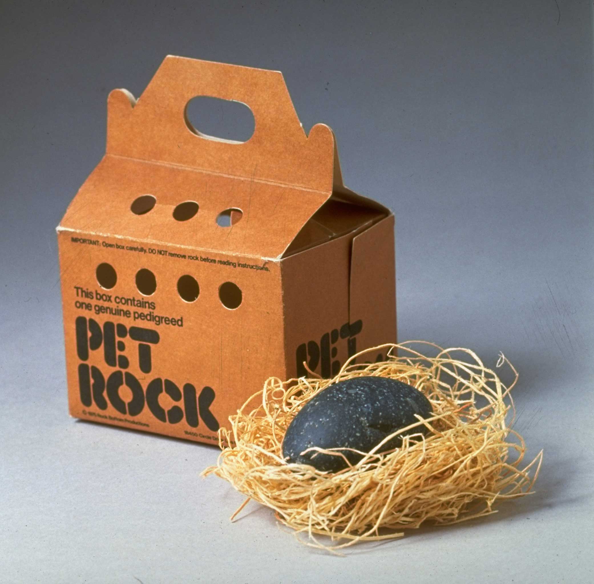 Product shot of Pet Rock, fad from mid-1970s, displayed w. its own carrying case. (Al Freni—The LIFE Images Collection/Getty)