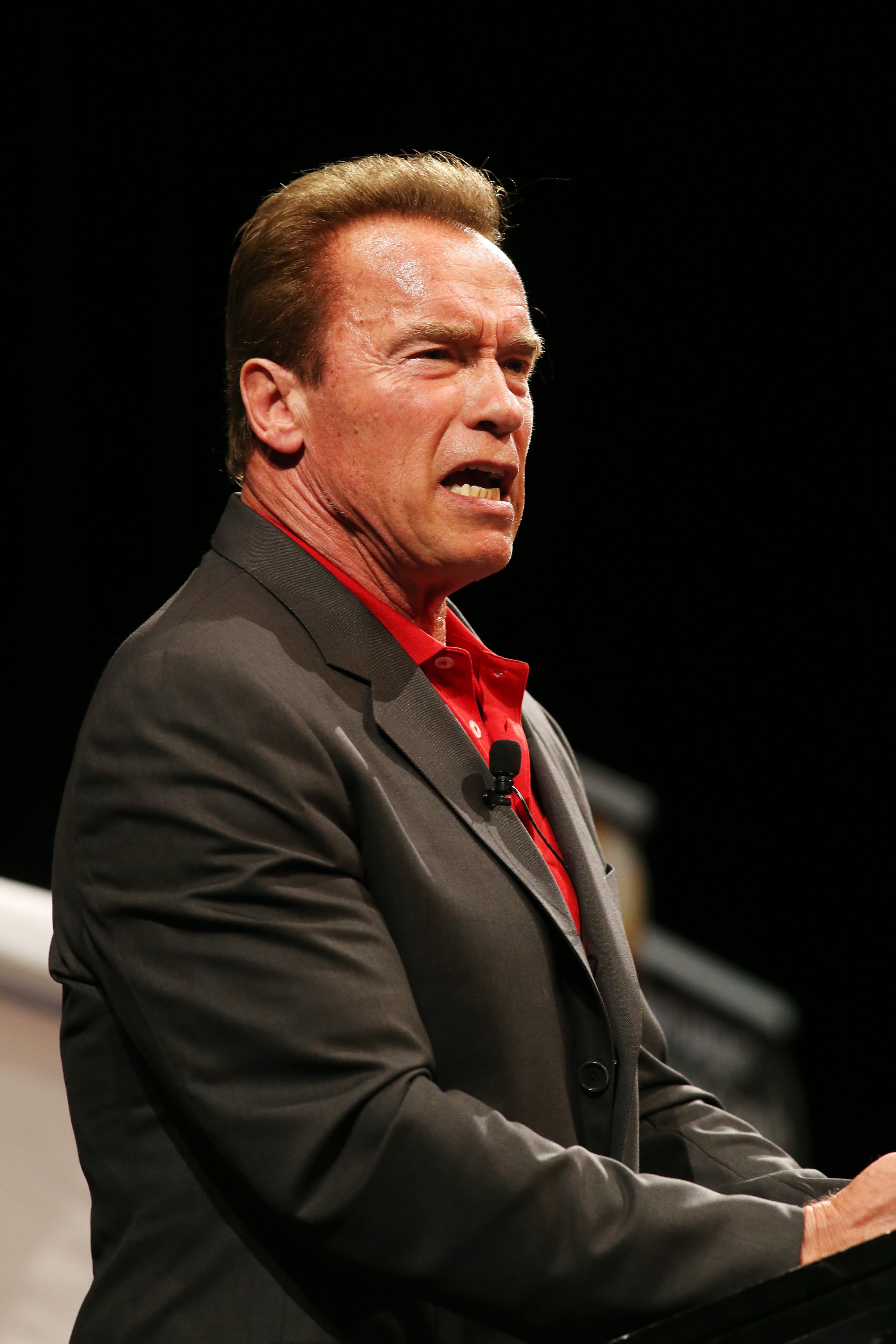 Arnold Schwarzenegger Attends The Queensland Real Estate Agents' Summit