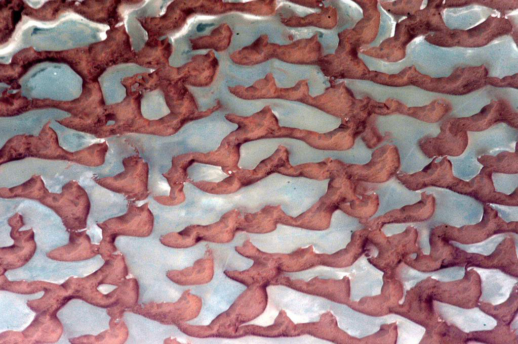 Africa. I wonder what these desert sands look like up close?#YearInSpace