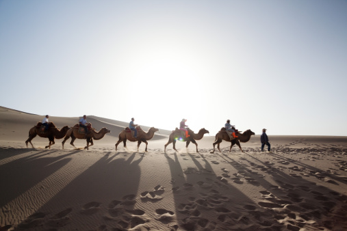 camel-caravan-silk-road-china