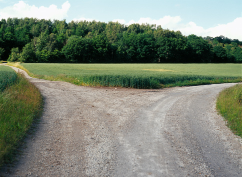 road-fork-countryside
