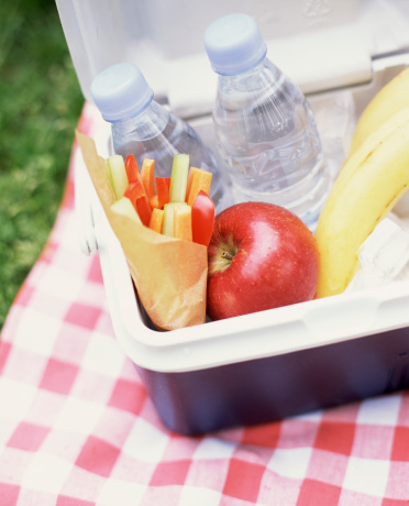 picnic-cooler-water-vegetables-fruits