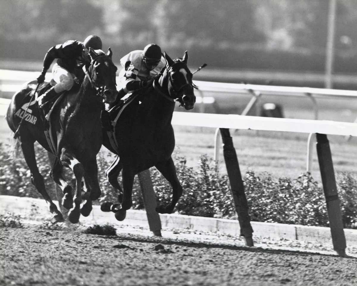 Jockey Steve Cauthen rides Affirmed #3 as Jorge Velasquez tries to pull Alydar #2 into first place during the Belmont Stakes on June 10, 1978, at Belmont Park in Elmont, N.Y. (Robert Riger—Getty Images)