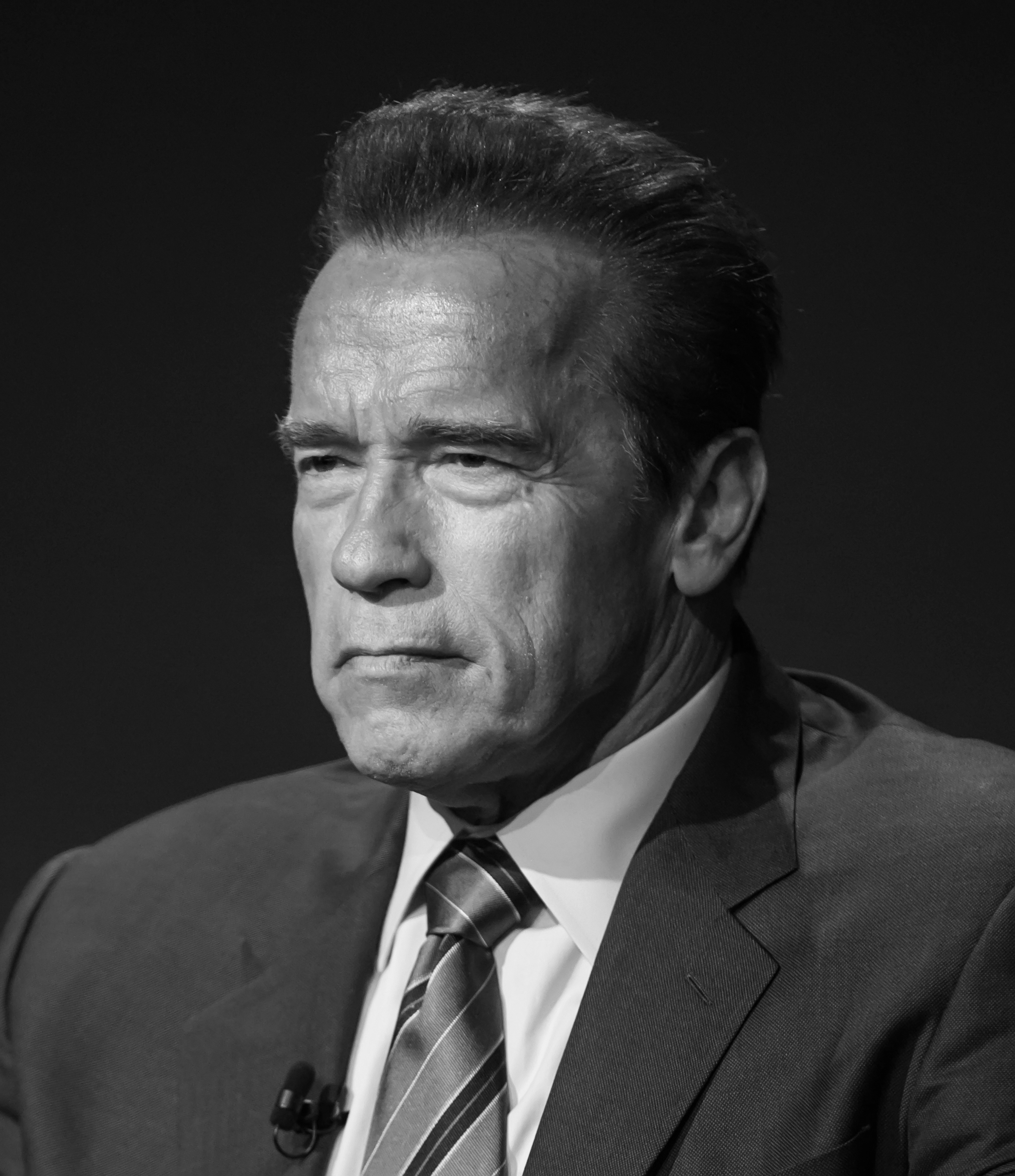 Arnold Schwarzenegger. (Gilbert Carrasquillo—Getty Images)