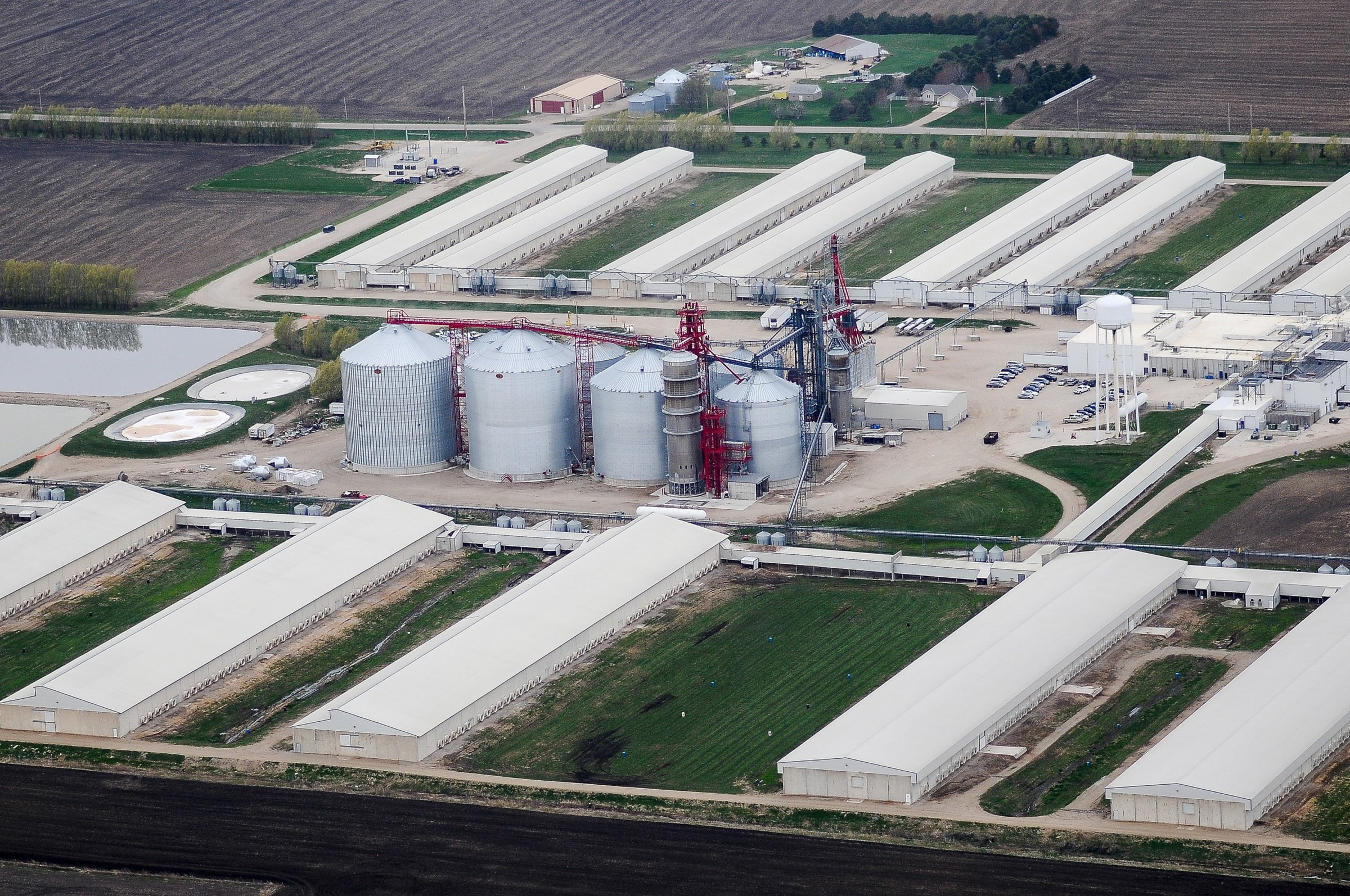 An egg-producing chicken farm run by Sunrise Farm is seen in Harris, Iowa on April 23, 2015. Iowa, the top U.S. egg-producing state, found a lethal strain of bird flu in millions of hens at an egg-laying facility on Monday, the worst case so far in a national outbreak that prompted Wisconsin to declare a state of emergency. The infected Iowa birds were being raised near the city of Harris by Sunrise Farms, an affiliate of Sonstegard Foods Company, the company said.