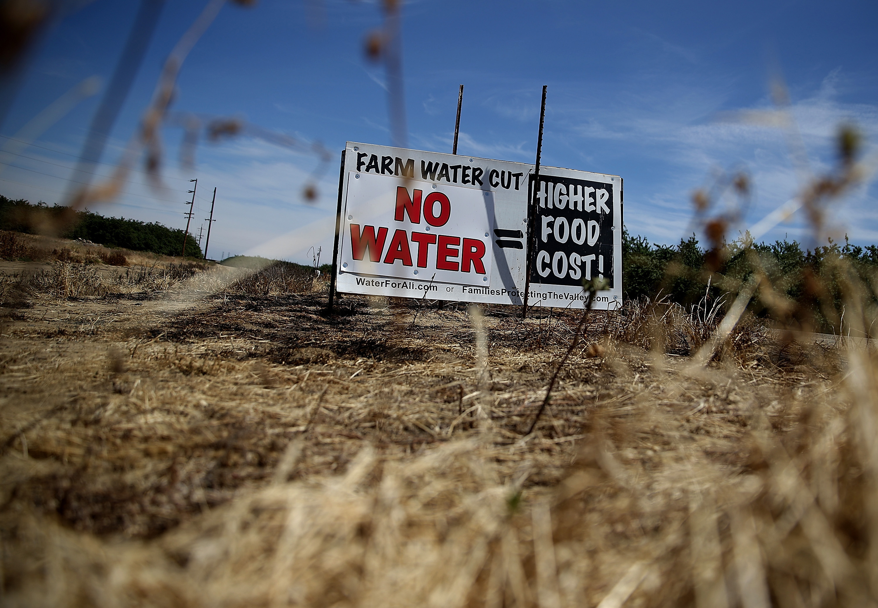 A sign referencing the drought is posted on the side of the road on April 24, 2015 in Firebaugh, California.