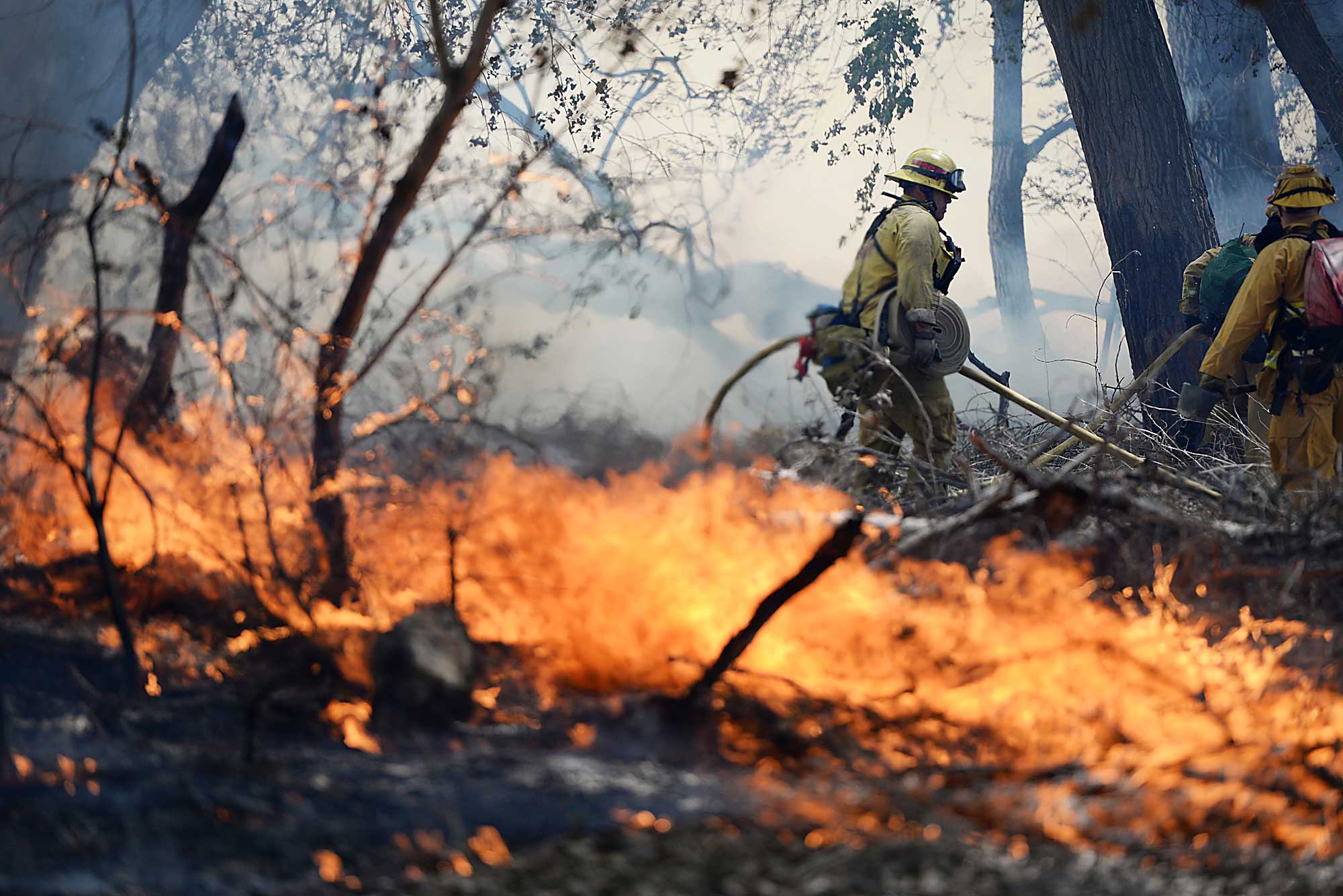 Firefighters battle a wildfire in The Mojave Narrows Regional Park in Victorville Calif., March 31, 2015.
