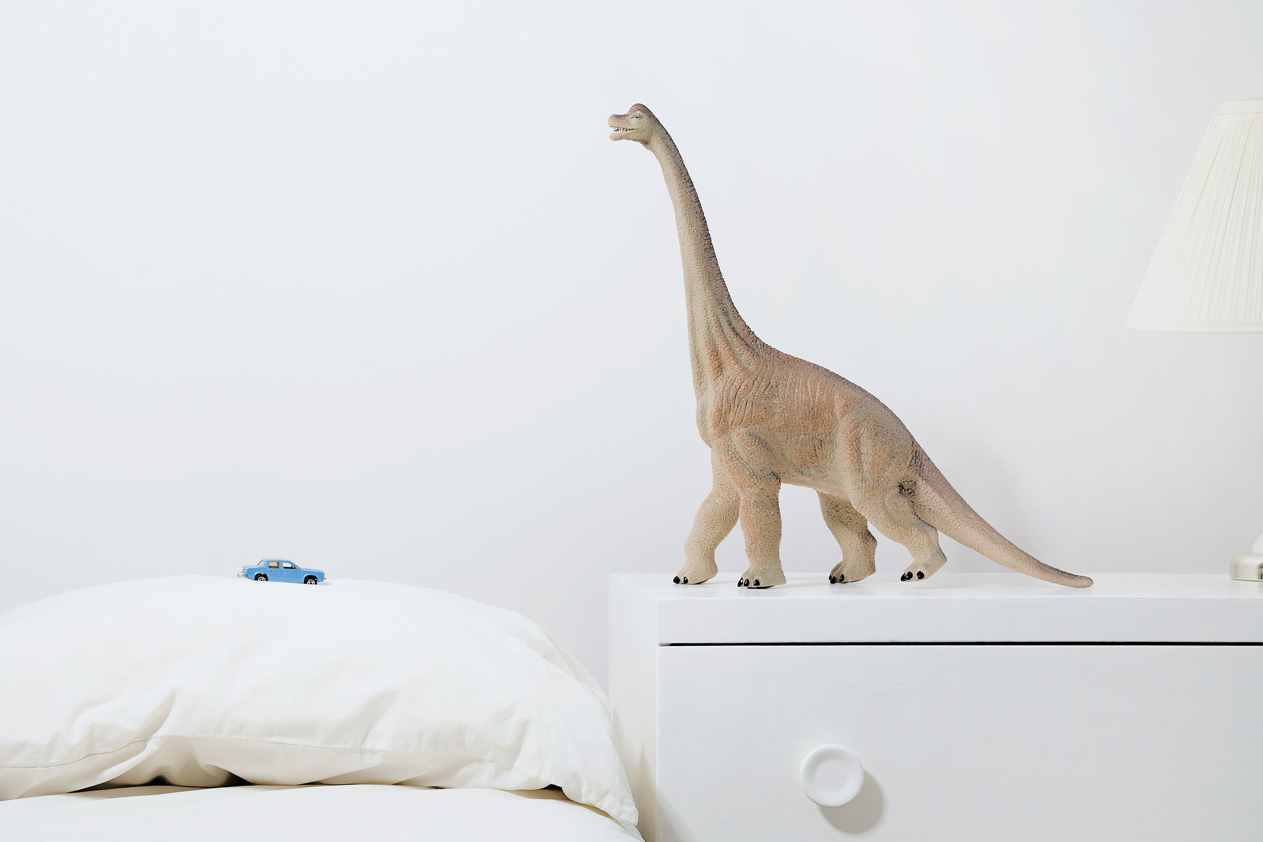 Toy dinosaur and toy car in bedroom