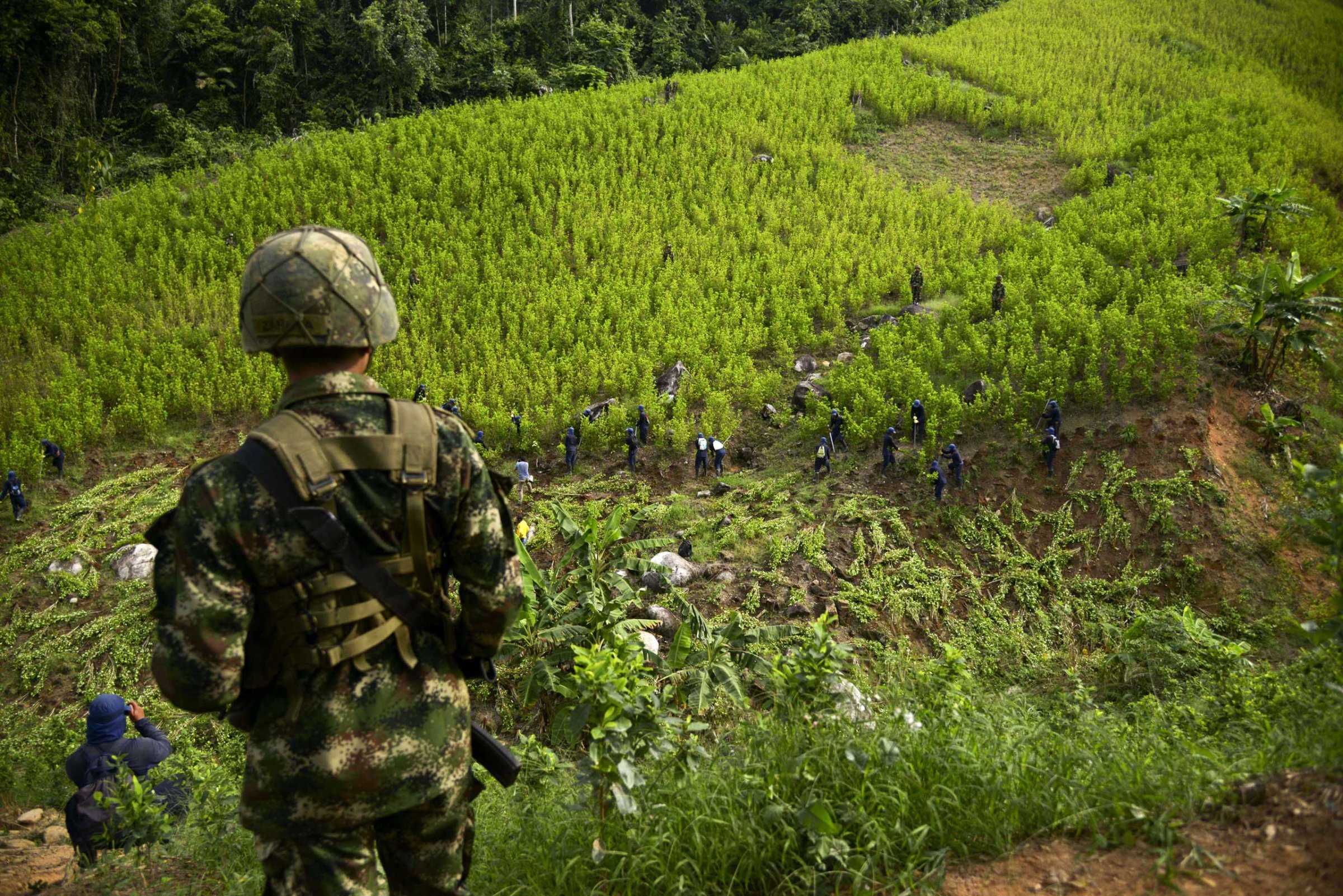 A soldier provides security to peasants eradicating coca plantations in the mountains northeast of Medellin, Colombia in 2014. Uprooting coca plants is an alternative to aerial eradication.