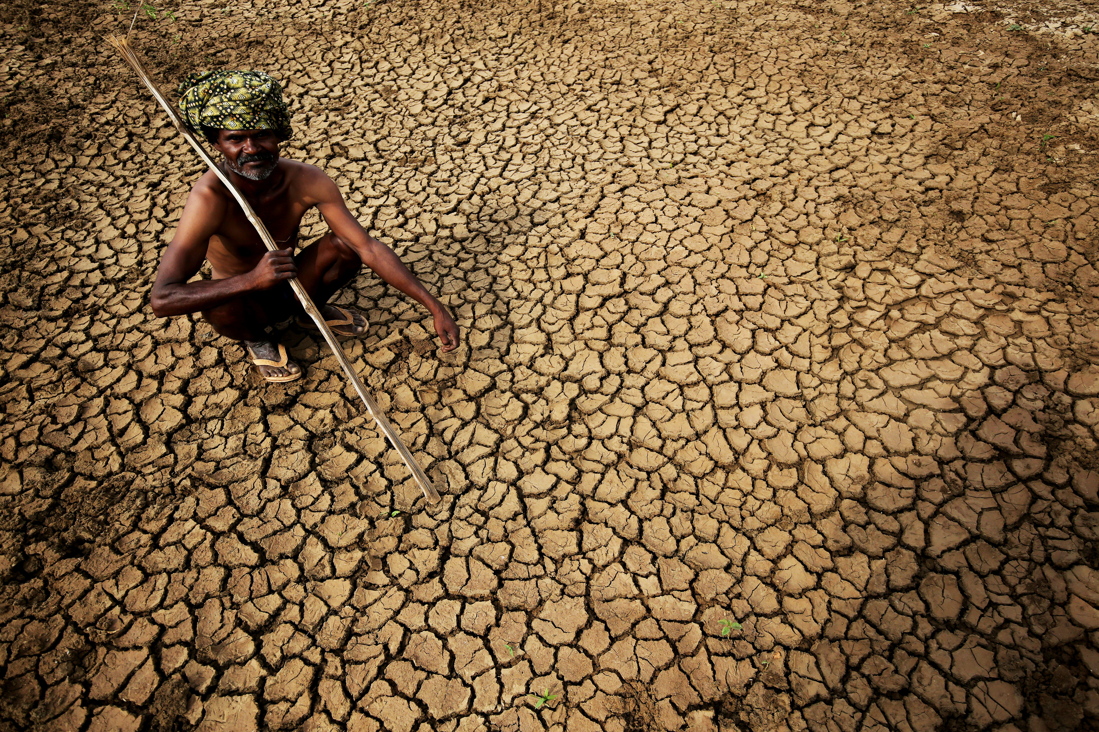An Indian farmer sits in his dried-up land in Gauribidanur village, near Bangalore, India, on May 26, 2015 (Jagadeesh NV—EPA)