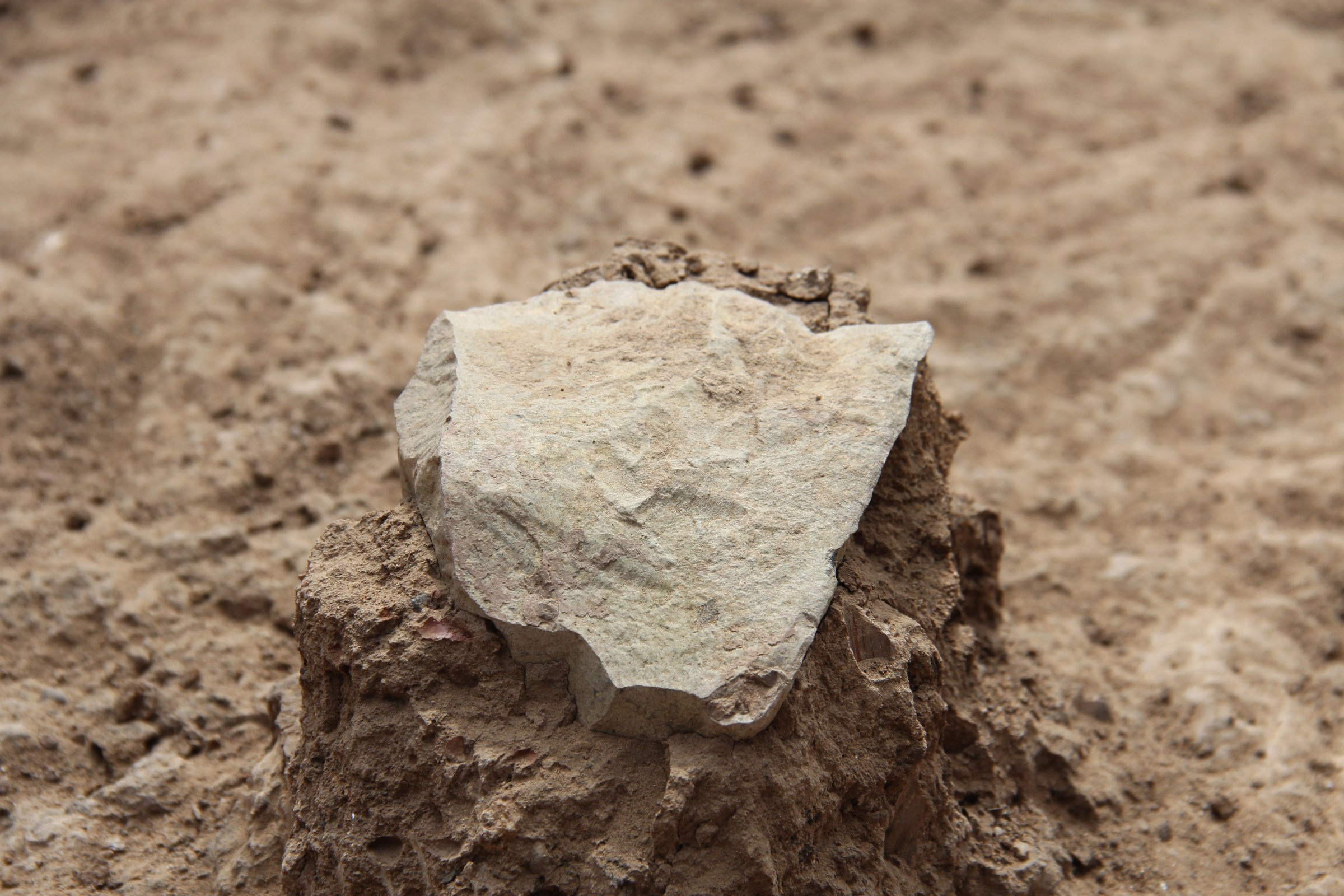 This undated photo made available May 20, 2015 by the Mission Prehistorique au Kenya - West Turkana Archaeological Project shows the excavation of a stone tool found in the West Turkana area of Kenya.