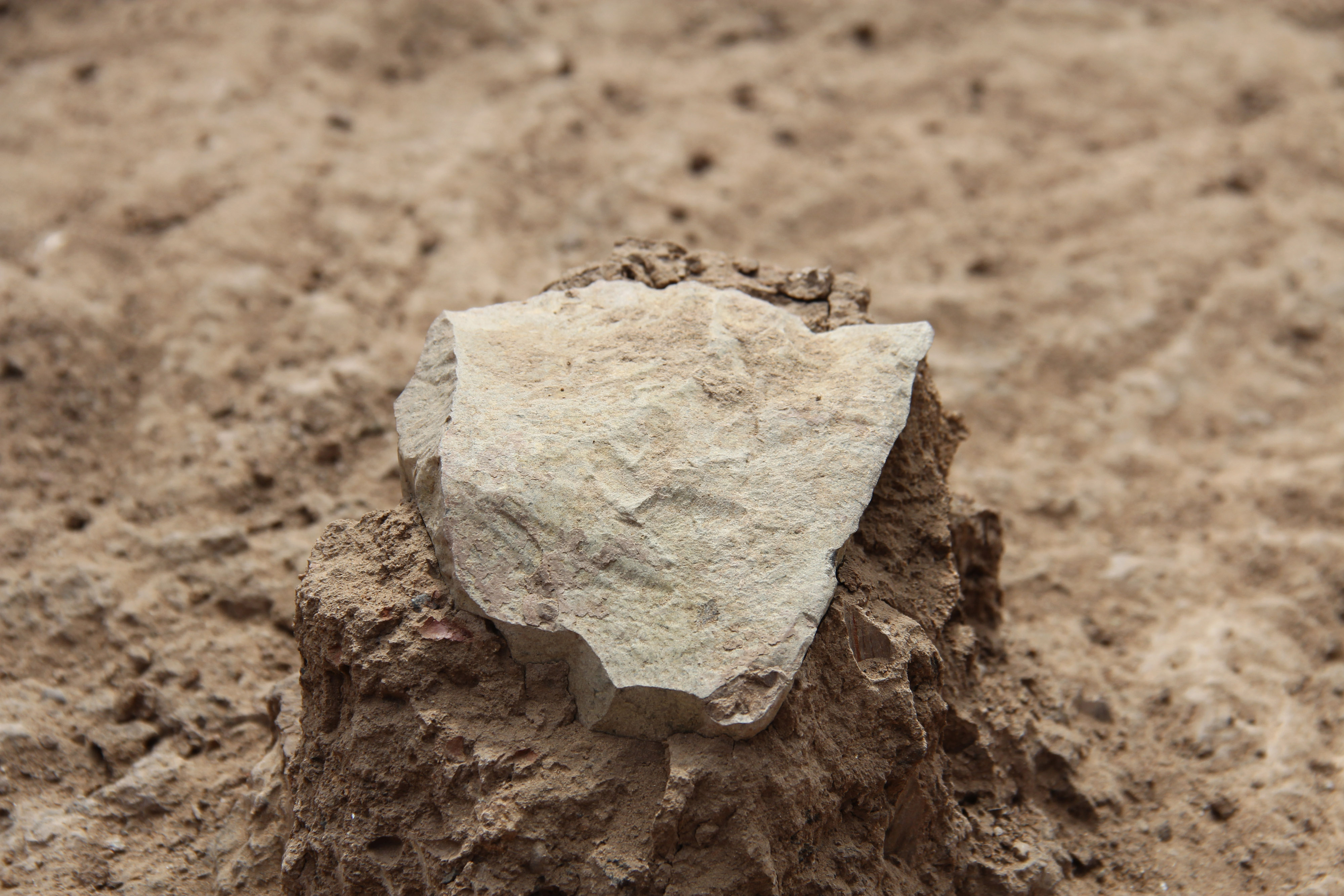 This undated photo made available May 20, 2015 by the Mission Prehistorique au Kenya - West Turkana Archaeological Project shows the excavation of a stone tool found in the West Turkana area of Kenya. (MPK-WTAP/AP)