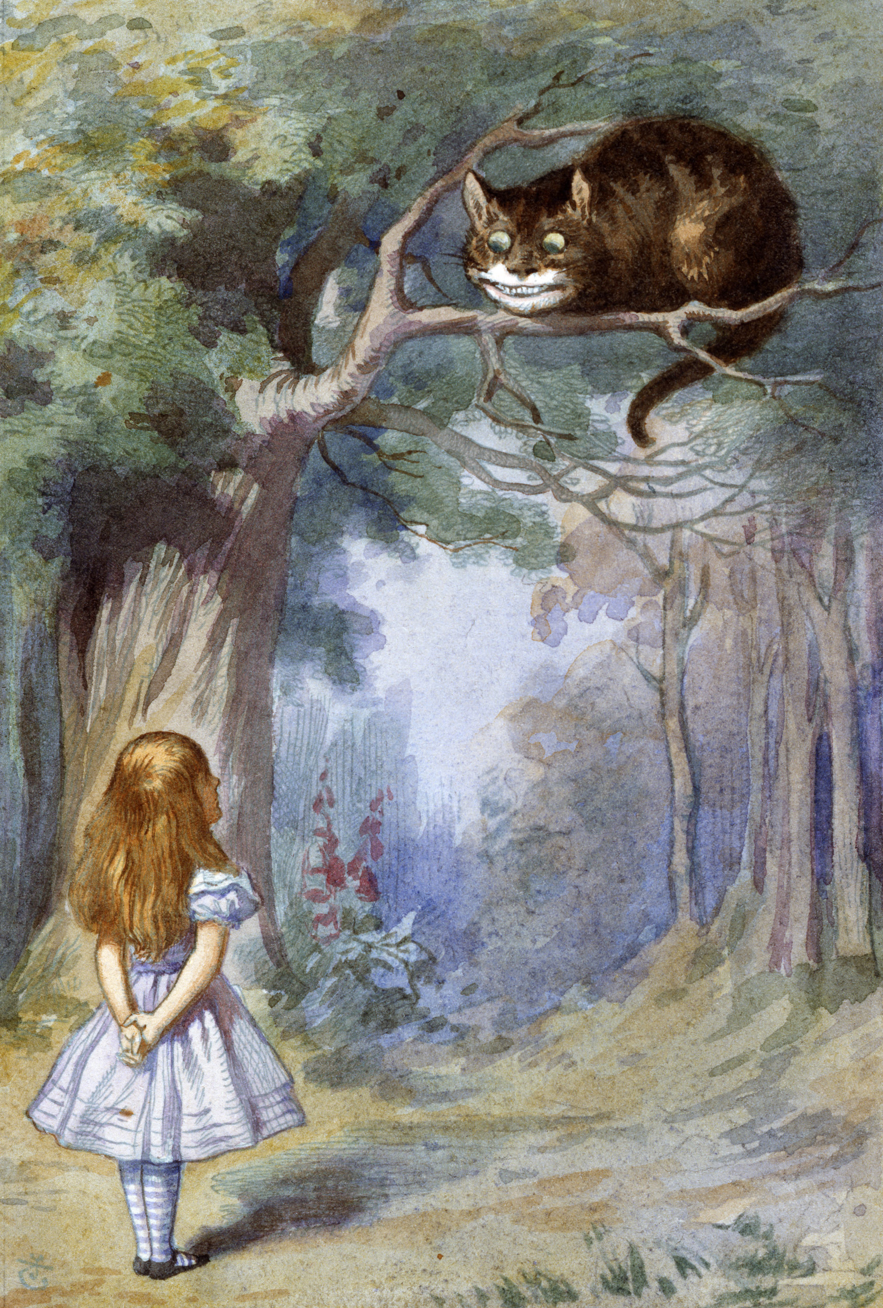 Алиса заметила. Чеширский кот Льюис Кэрролл. Чеширский кот Алиса в стране чудес. Алиса и Чеширский кот Льюис Кэролл. Джон Тенниел Чеширский кот.
