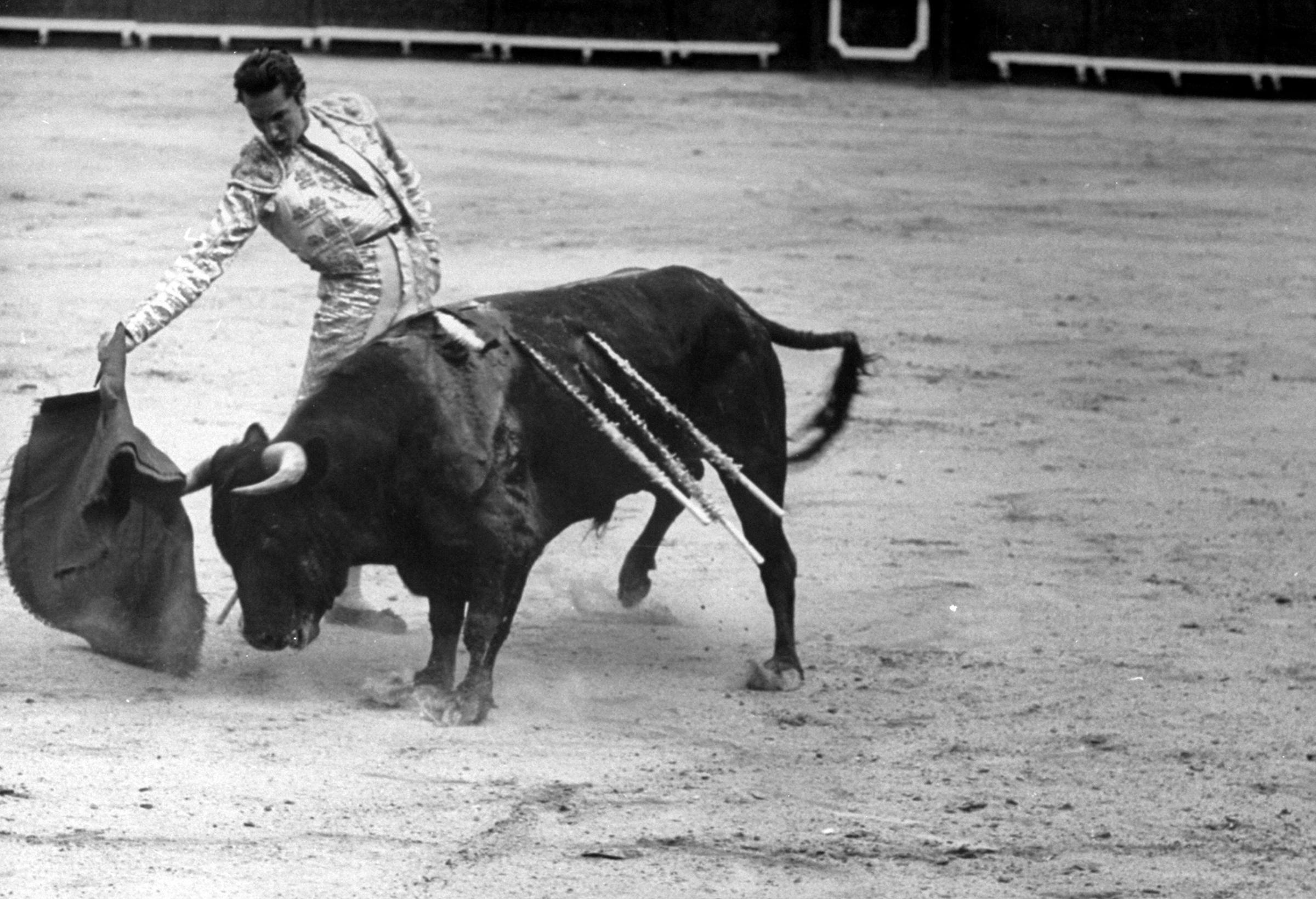 Matador and bull in the ring for a bullfight during the festival of San Fermín.