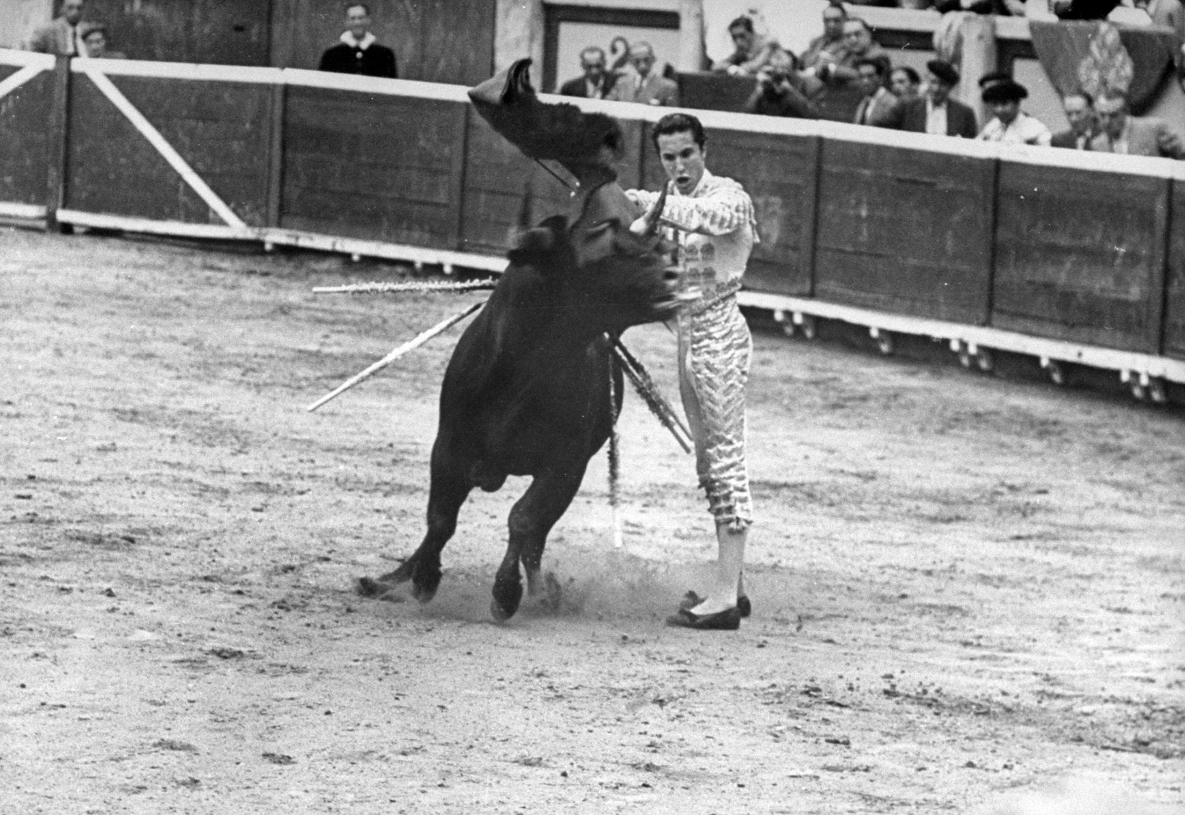 Matador Julian Marin and bull in the ring for a bullfight during the festival of San Fermín.