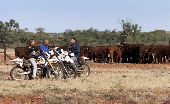Workers from the Anna Creek cattle station take a break on the Oodnadatta Track in outback South Australia as they start the mustering of cattle by motorbike and plane on June 20, 2000 (William West—AFP/Getty Images)