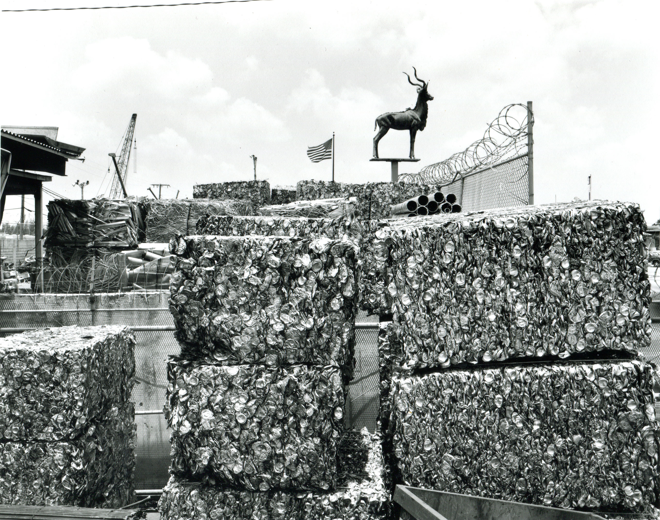Cans with Flag and Ram, Miami, Florida, 2001