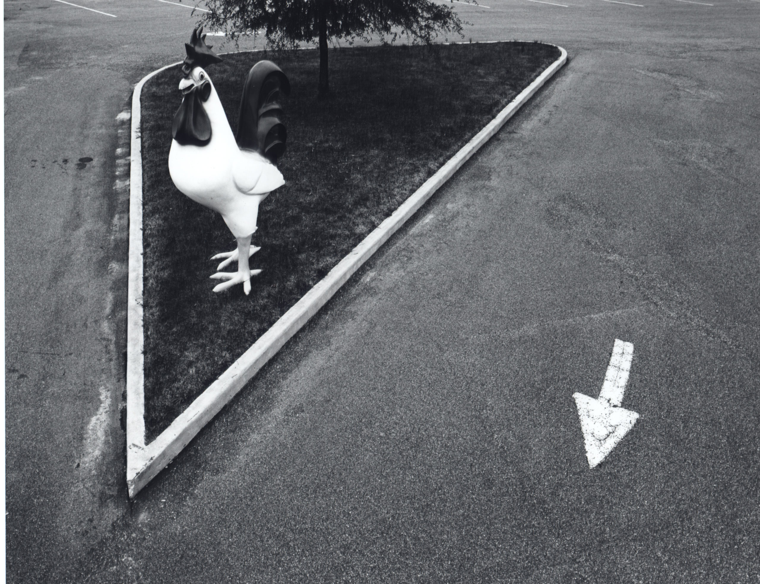 Big Rooster, Wilson, N.C., 1970