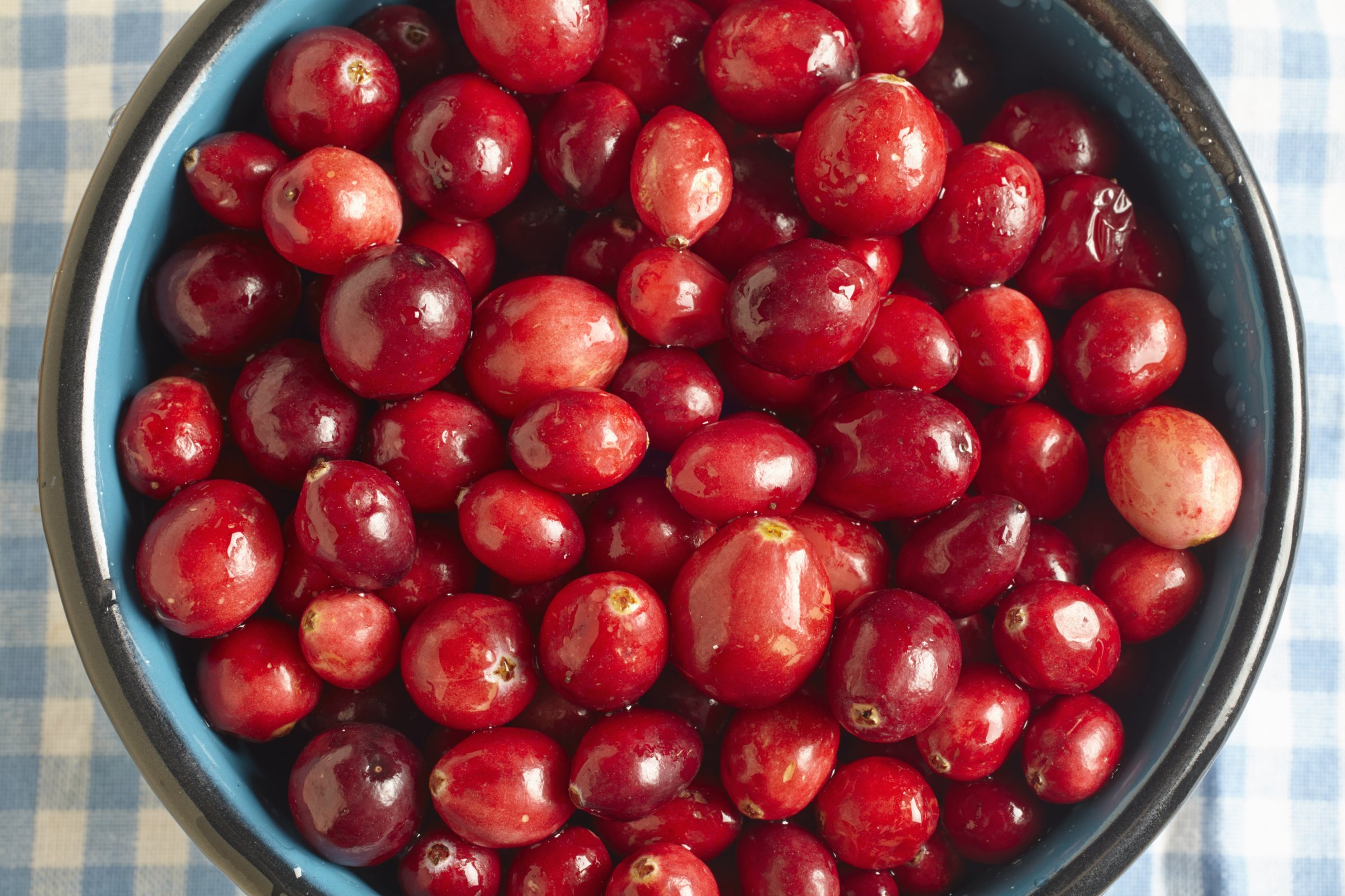 cranberry-cranberries