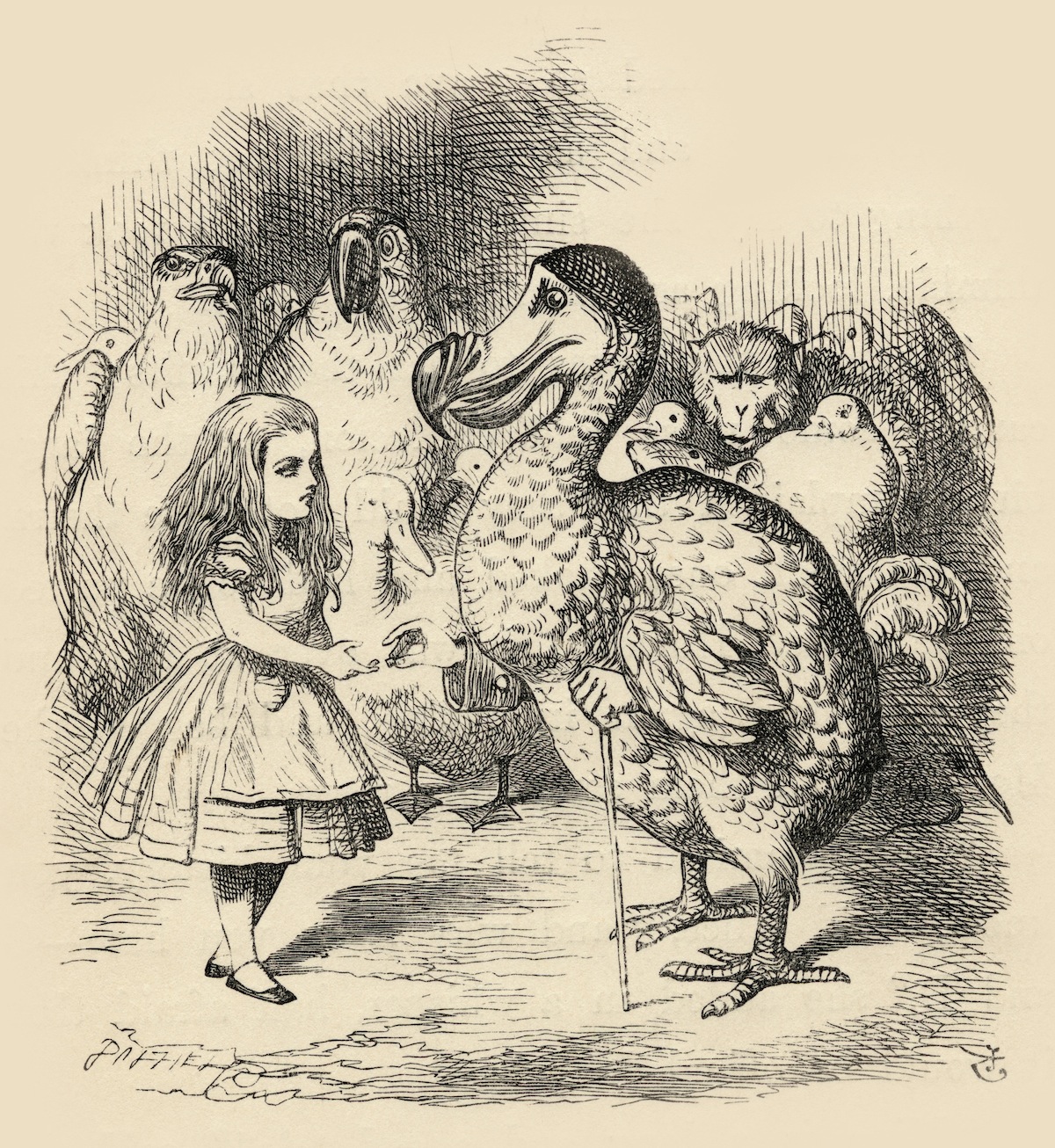 The Dodo solemnly presents Alice with a thimble Illustration by John Tenniel from the book Alices's Adventures in Wonderland by Lewis Carroll (Universal Images Group / Getty Images)