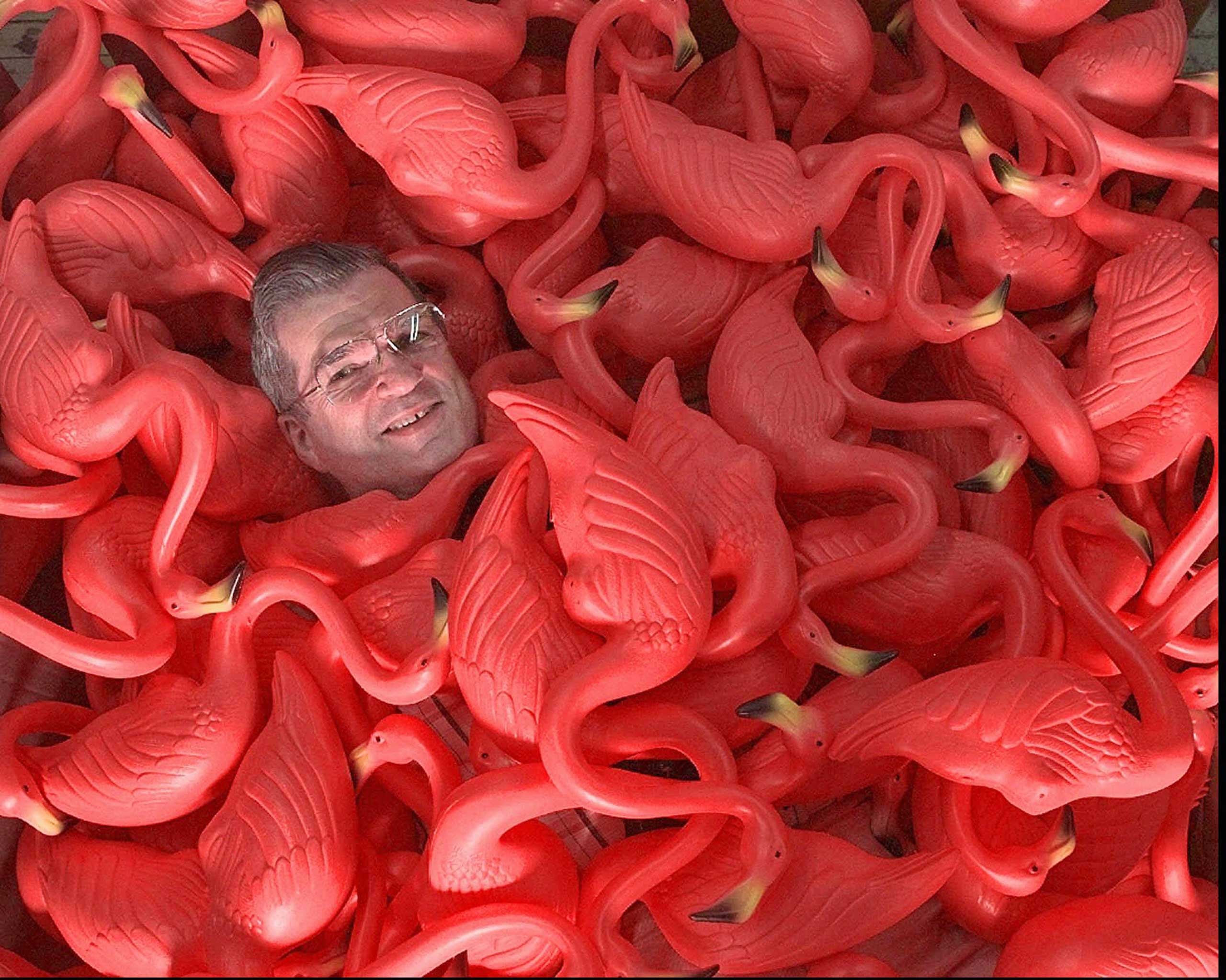 Don Featherstone, creator of the original plastic pink flamingo, sits surrounded by many of the plastic creatures in 1998. (Amy Sancetta — AP)