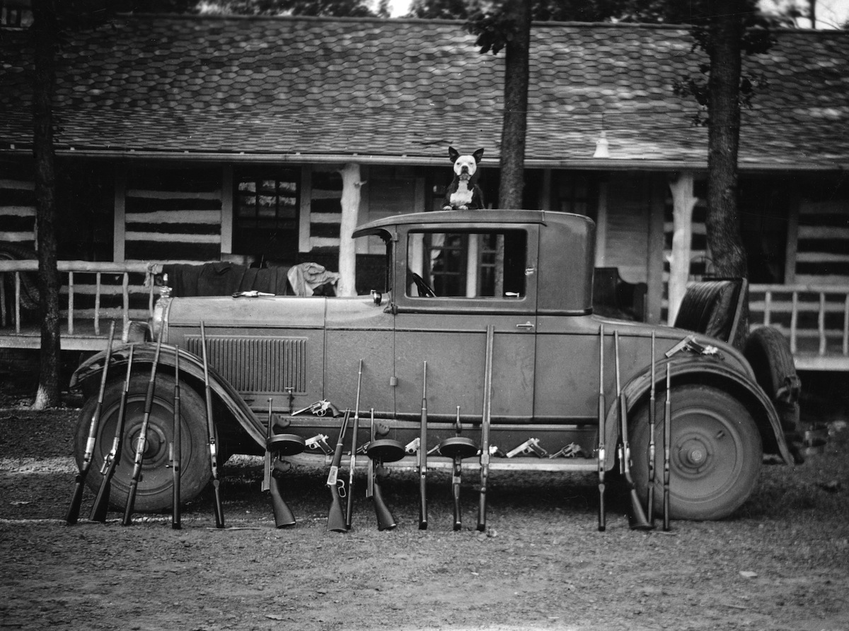 A dog sits atop a vehicle belonging to the Birger Gang of southern Illinois, ca.1920s (Chicago History Museum / Getty Images)