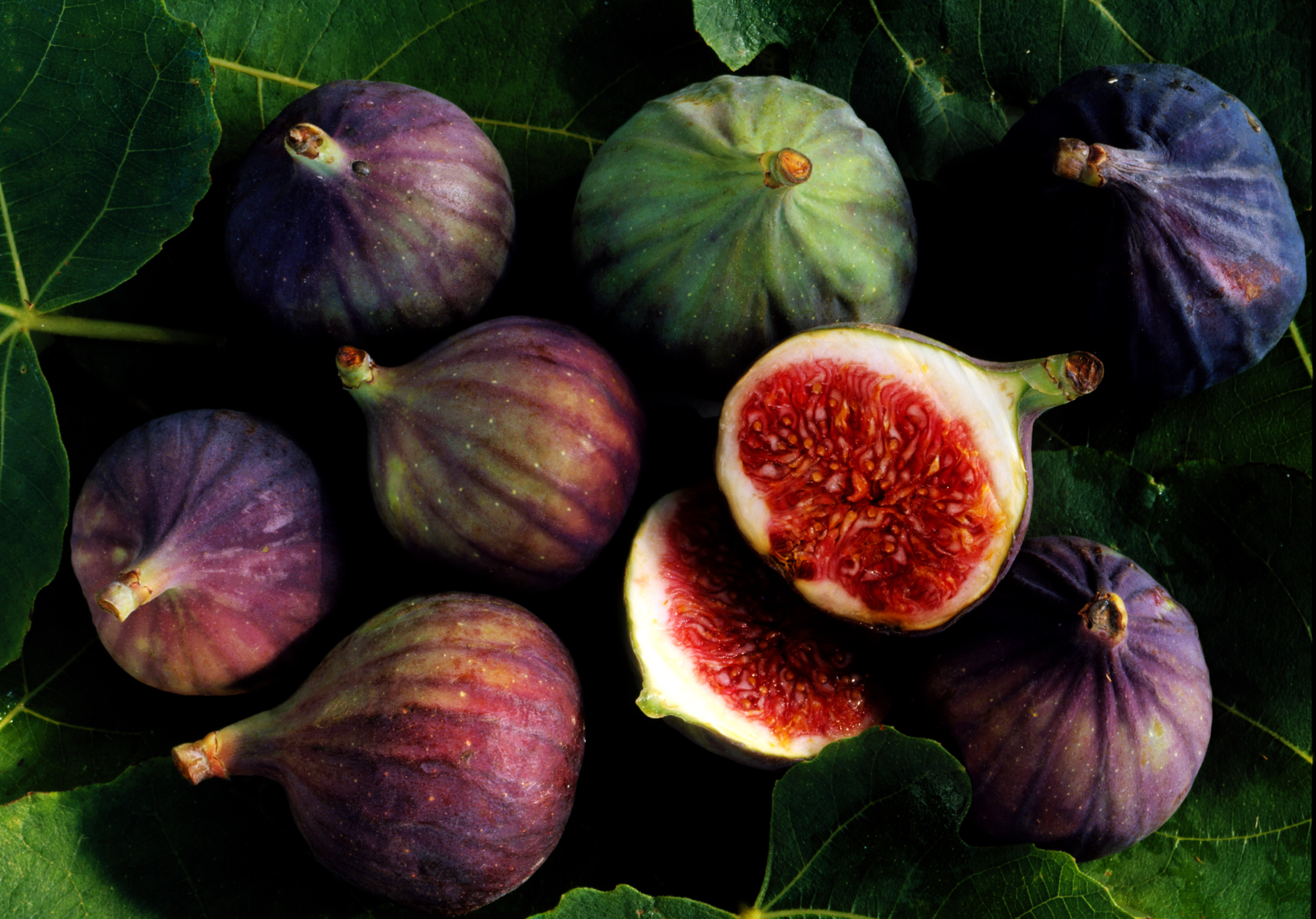 “There’s the early crop of figs this year, and there will be a second crop at the end of August,” says Madison who is based in New Mexico. Just rinse your figs and trim the stems before eating.